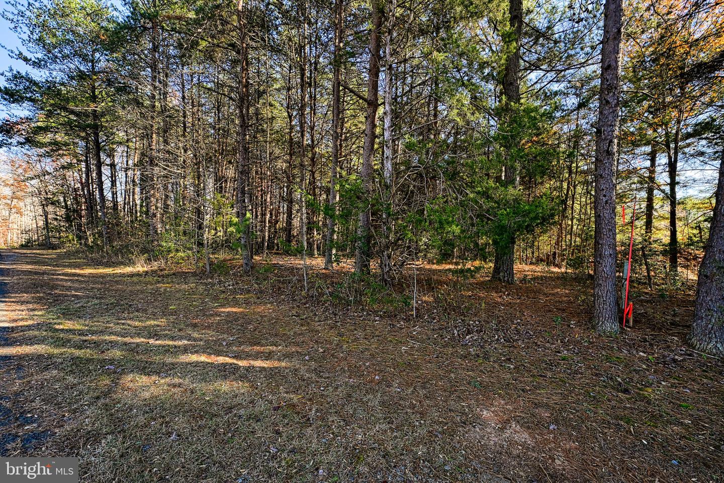 LOT 41 DEERFIELD PL, MINERAL, Virginia 23117, ,Land,For sale,LOT 41 DEERFIELD PL,VALA2006956 MLS # VALA2006956