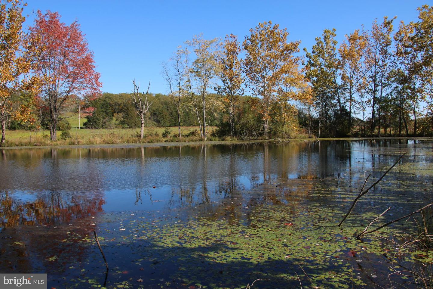 SADLICK LOT O RD, STRASBURG, Virginia 22657, ,Land,For sale,SADLICK LOT O RD,VAWR2009792 MLS # VAWR2009792