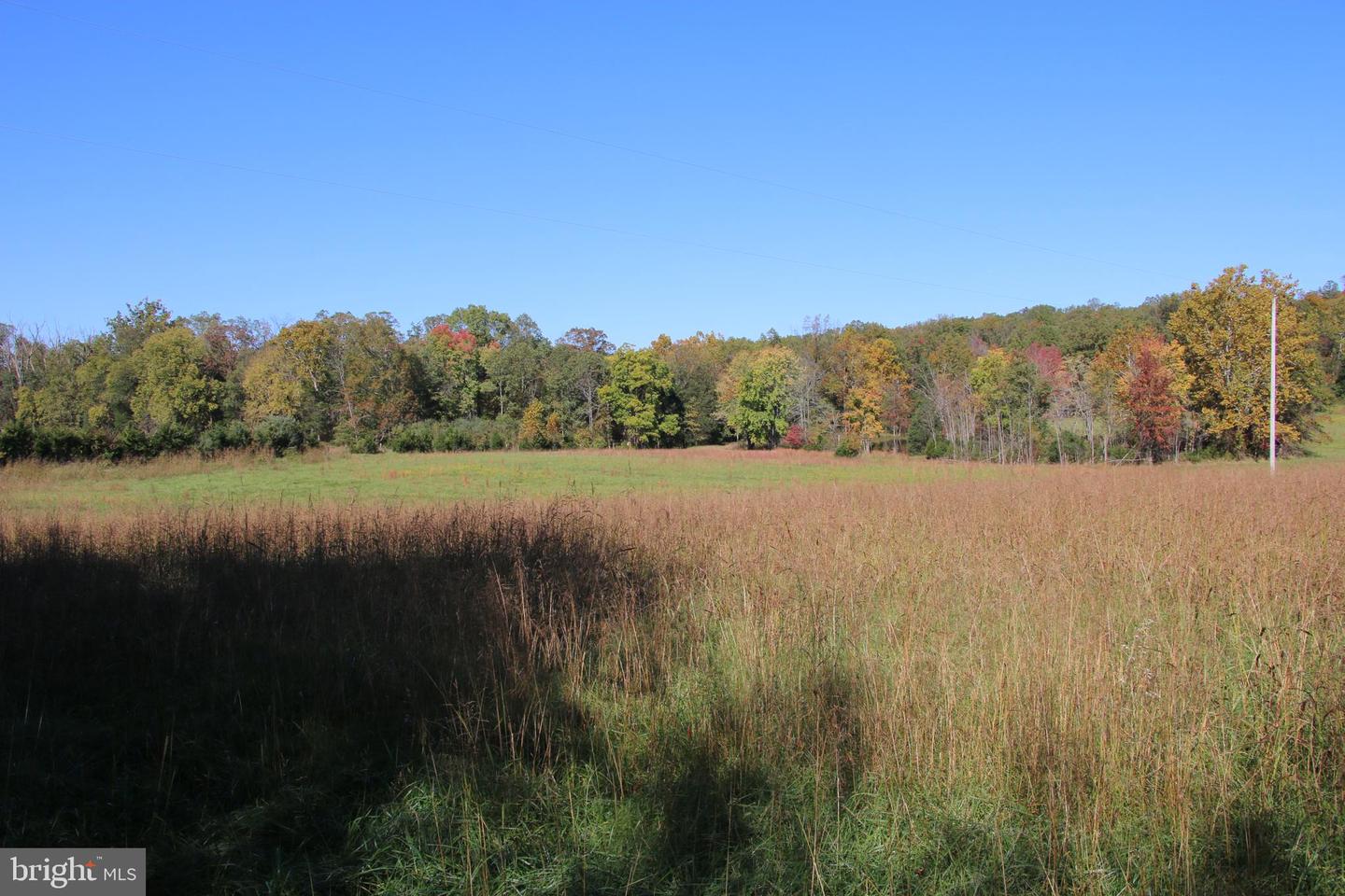 SADLICK LOT O RD, STRASBURG, Virginia 22657, ,Land,For sale,SADLICK LOT O RD,VAWR2009792 MLS # VAWR2009792