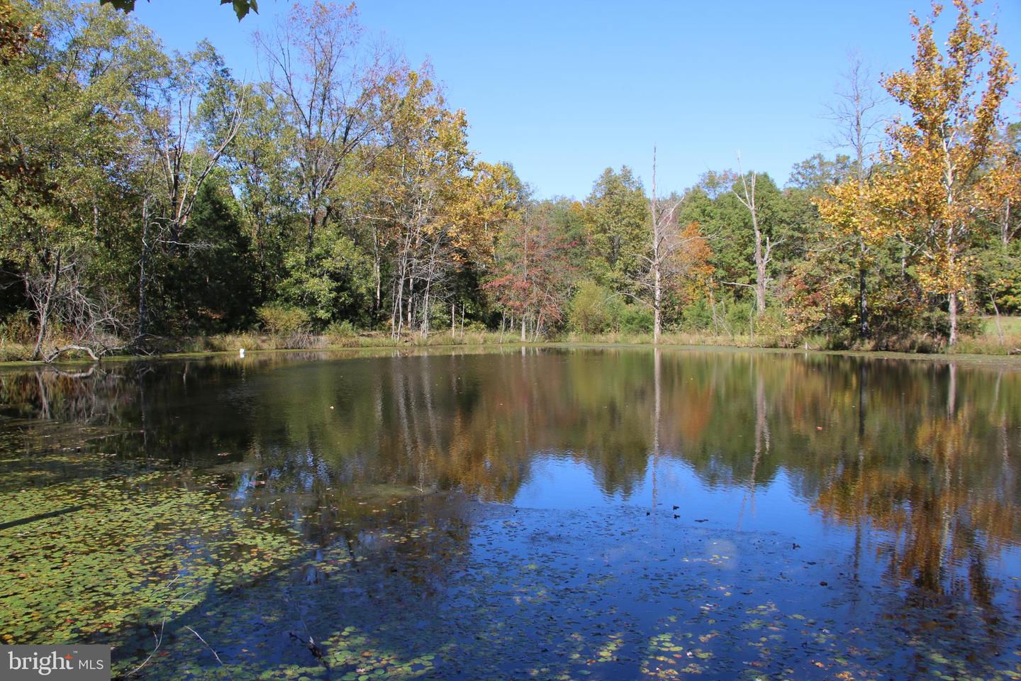 SADLICK LOT O RD, STRASBURG, Virginia 22657, ,Land,For sale,SADLICK LOT O RD,VAWR2009792 MLS # VAWR2009792