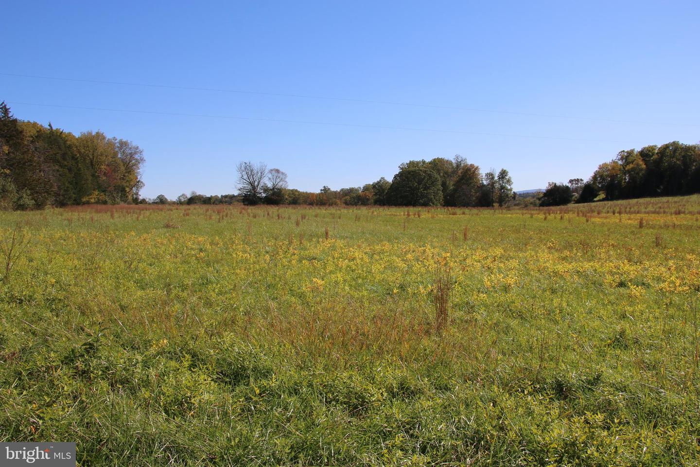 SADLICK LOT O RD, STRASBURG, Virginia 22657, ,Land,For sale,SADLICK LOT O RD,VAWR2009792 MLS # VAWR2009792