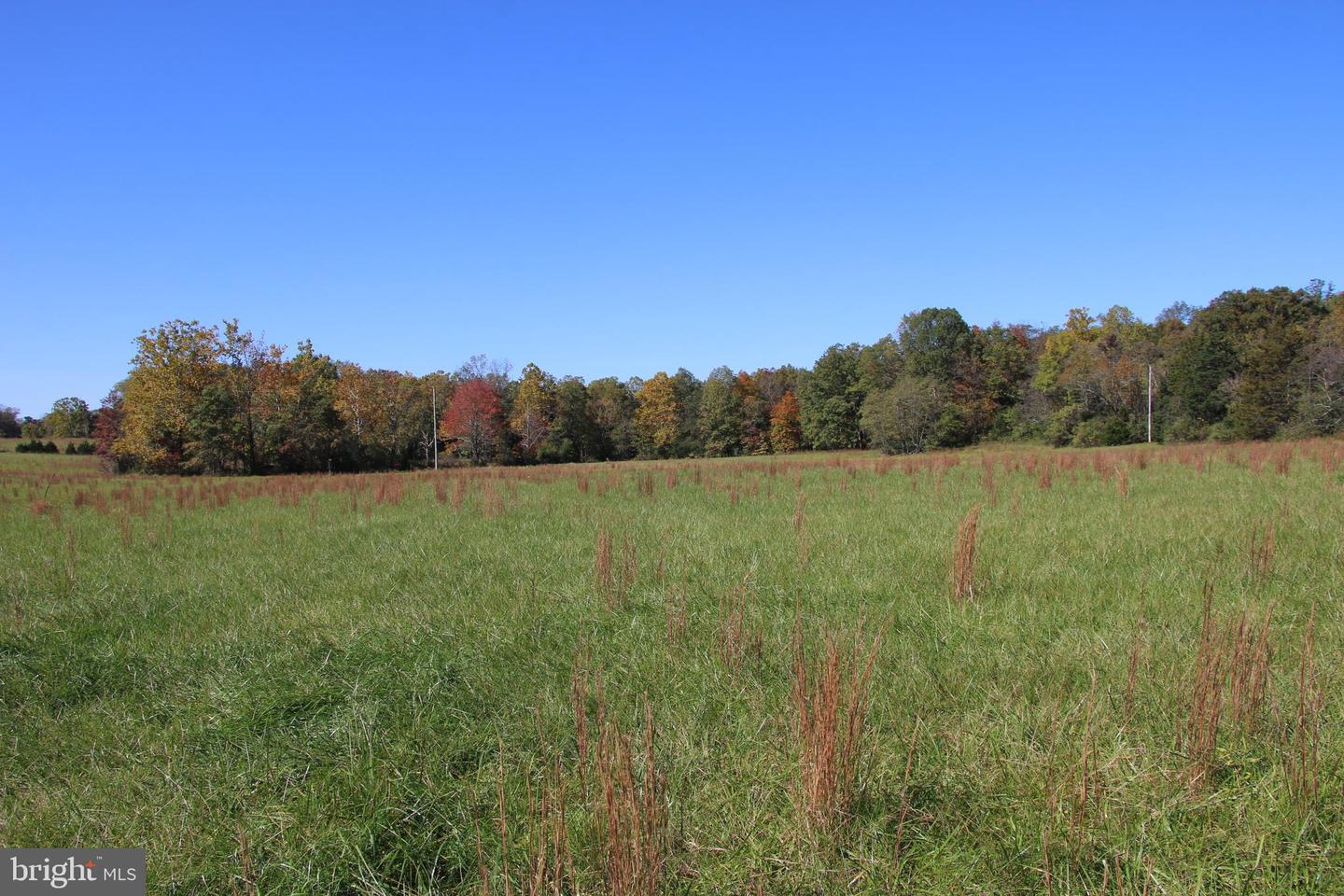 SADLICK LOT O RD, STRASBURG, Virginia 22657, ,Land,For sale,SADLICK LOT O RD,VAWR2009792 MLS # VAWR2009792