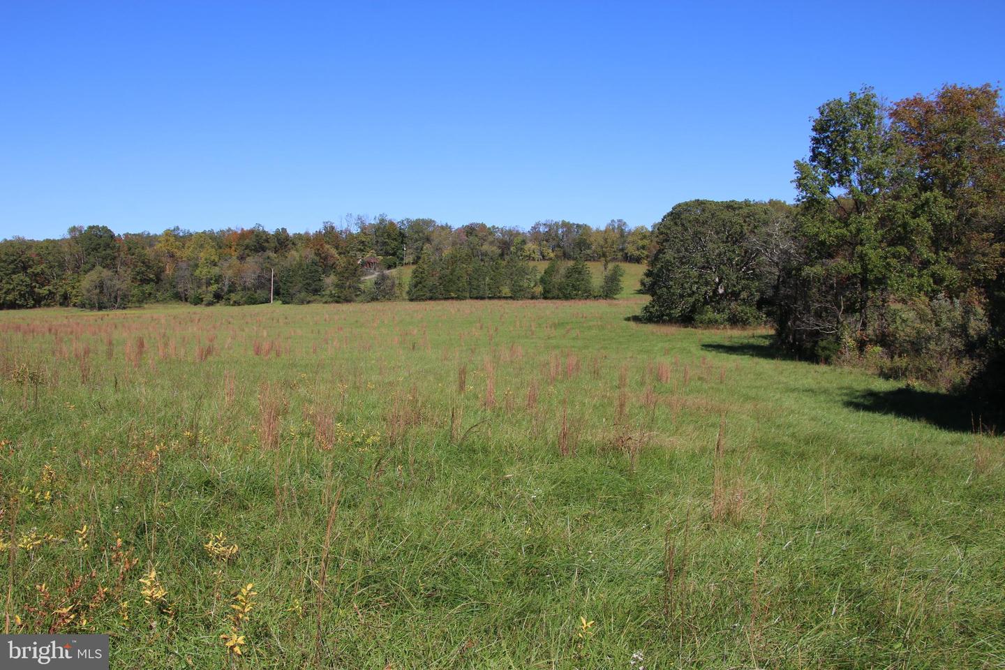 SADLICK LOT O RD, STRASBURG, Virginia 22657, ,Land,For sale,SADLICK LOT O RD,VAWR2009792 MLS # VAWR2009792