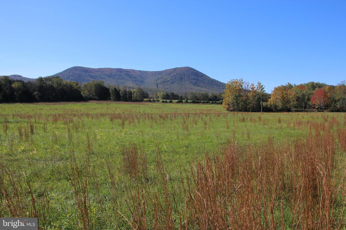 SADLICK LOT O RD, STRASBURG, Virginia 22657, ,Land,For sale,SADLICK LOT O RD,VAWR2009792 MLS # VAWR2009792