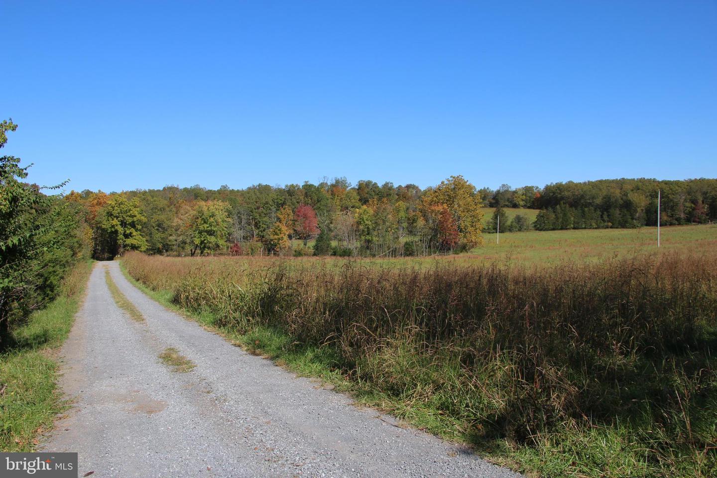 SADLICK LOT O RD, STRASBURG, Virginia 22657, ,Land,For sale,SADLICK LOT O RD,VAWR2009792 MLS # VAWR2009792