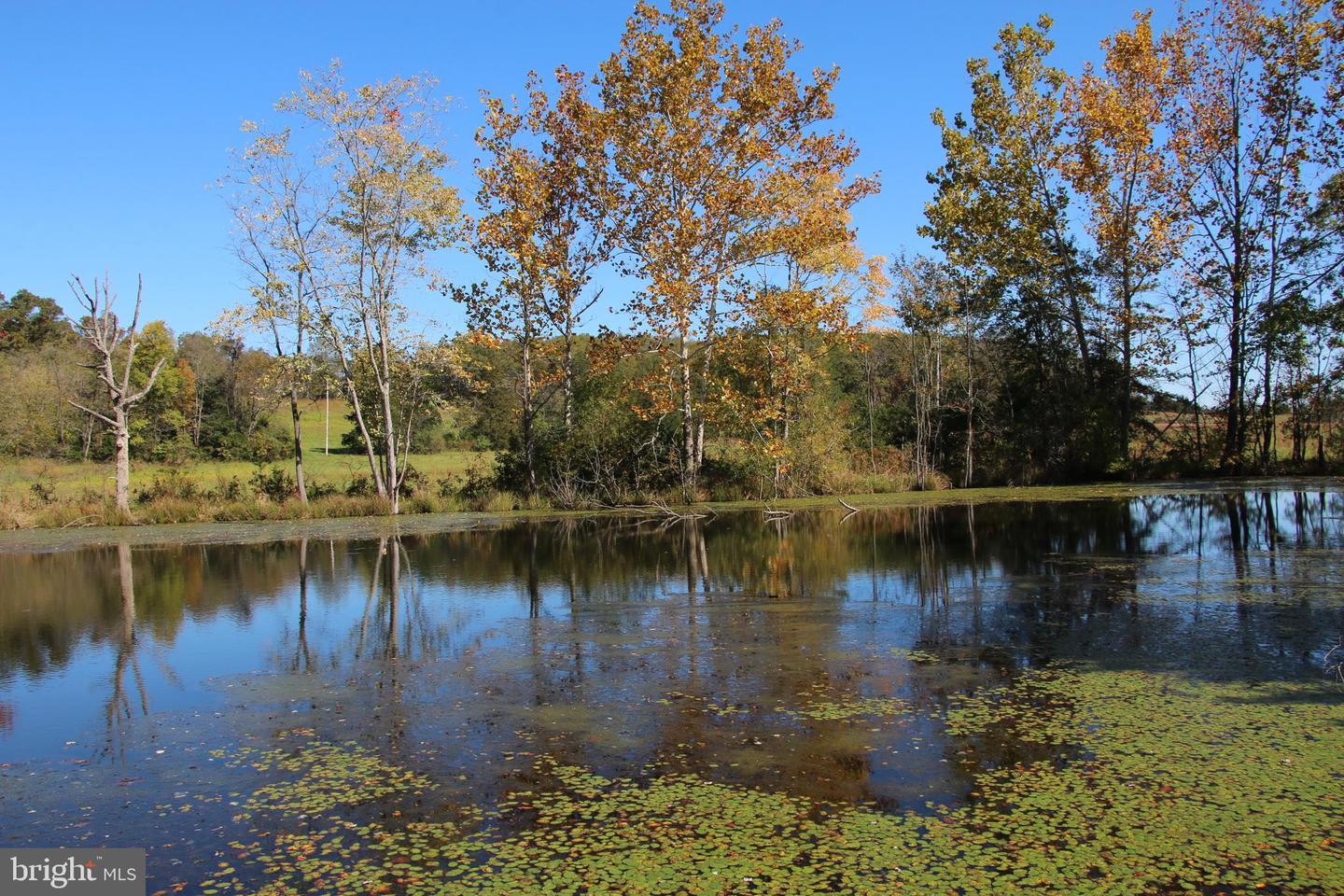 SADLICK LOT O RD, STRASBURG, Virginia 22657, ,Land,For sale,SADLICK LOT O RD,VAWR2009792 MLS # VAWR2009792