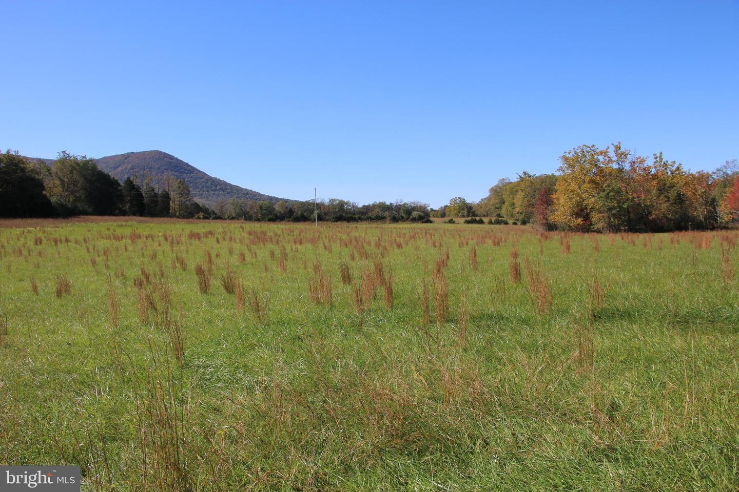 SADLICK LOT O RD, STRASBURG, Virginia 22657, ,Land,For sale,SADLICK LOT O RD,VAWR2009792 MLS # VAWR2009792