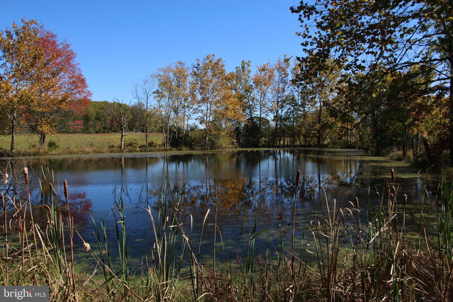 SADLICK LOT O RD, STRASBURG, Virginia 22657, ,Land,For sale,SADLICK LOT O RD,VAWR2009792 MLS # VAWR2009792