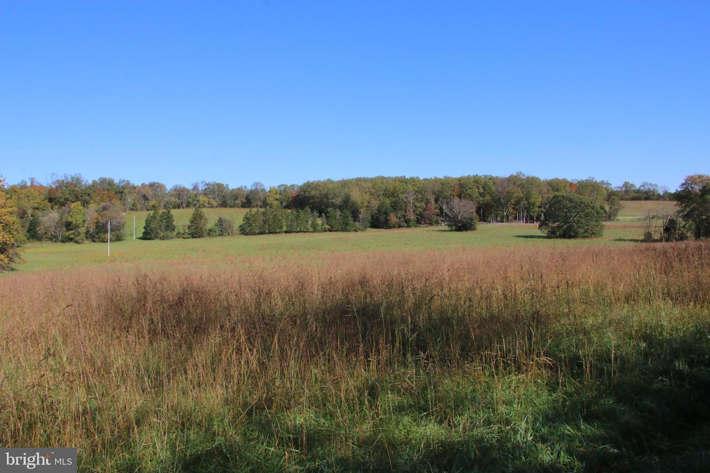 SADLICK LOT O RD, STRASBURG, Virginia 22657, ,Land,For sale,SADLICK LOT O RD,VAWR2009792 MLS # VAWR2009792