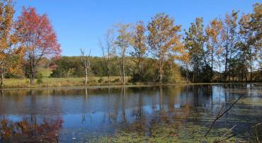 SADLICK LOT O RD, STRASBURG, Virginia 22657, ,Land,For sale,SADLICK LOT O RD,VAWR2009792 MLS # VAWR2009792