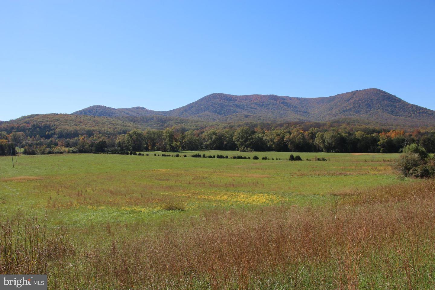 SADLICK LOT C-1 RD, STRASBURG, Virginia 22657, ,Land,For sale,SADLICK LOT C-1 RD,VAWR2009794 MLS # VAWR2009794