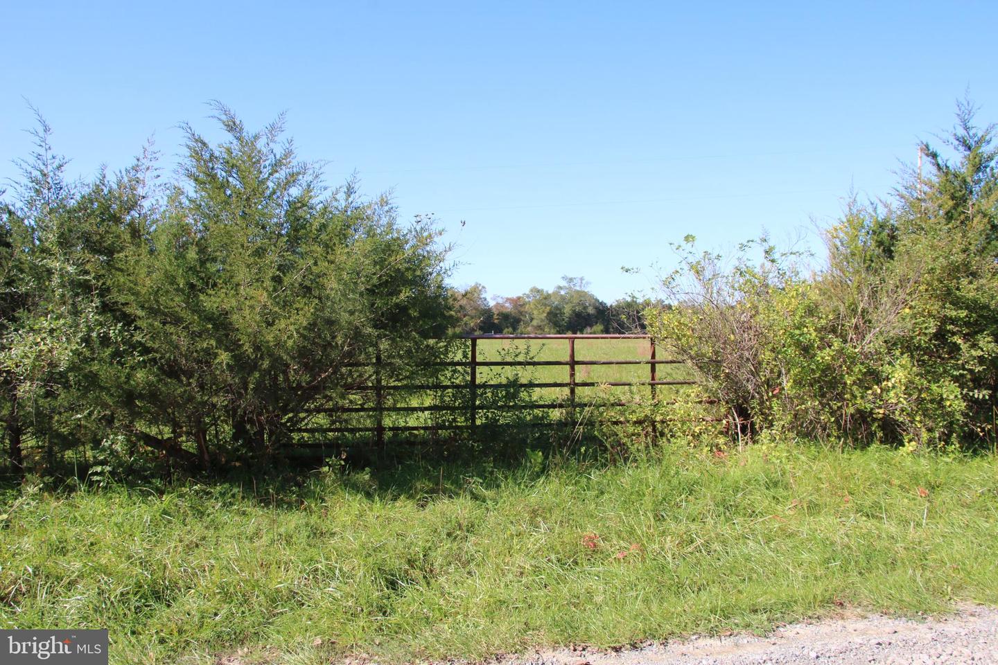 SADLICK LOT C-1 RD, STRASBURG, Virginia 22657, ,Land,For sale,SADLICK LOT C-1 RD,VAWR2009794 MLS # VAWR2009794