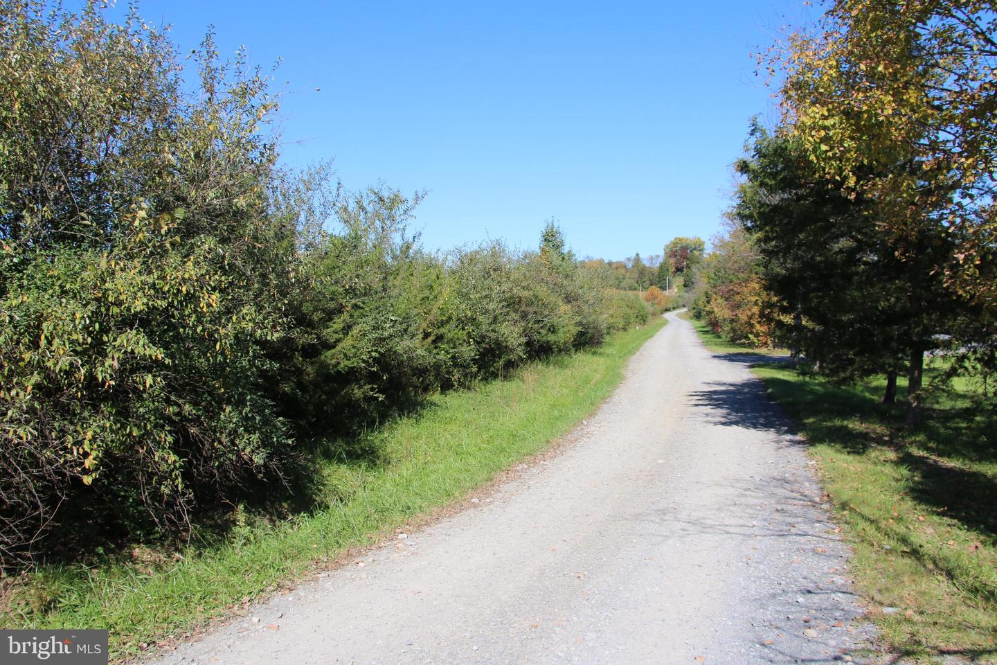 SADLICK LOT C-1 RD, STRASBURG, Virginia 22657, ,Land,For sale,SADLICK LOT C-1 RD,VAWR2009794 MLS # VAWR2009794