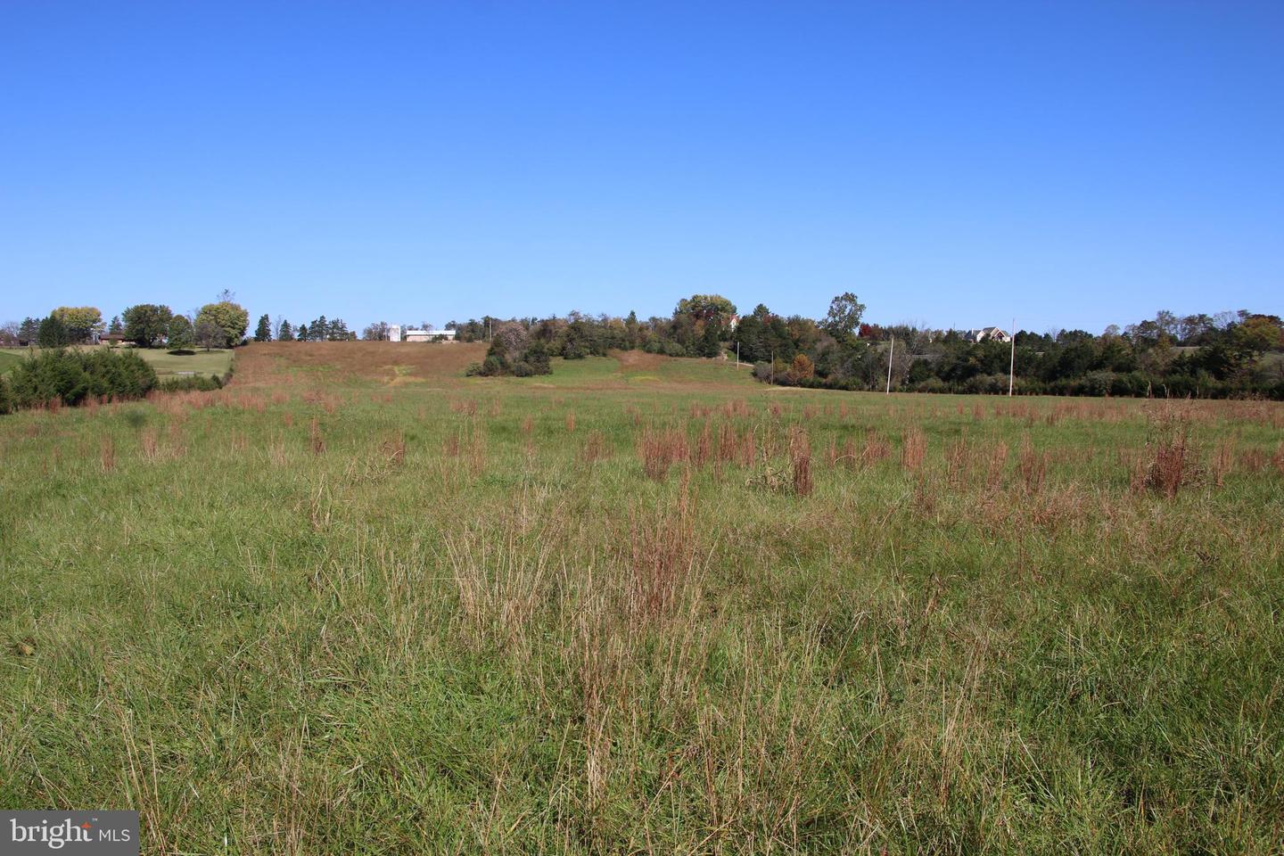 SADLICK LOT C-1 RD, STRASBURG, Virginia 22657, ,Land,For sale,SADLICK LOT C-1 RD,VAWR2009794 MLS # VAWR2009794