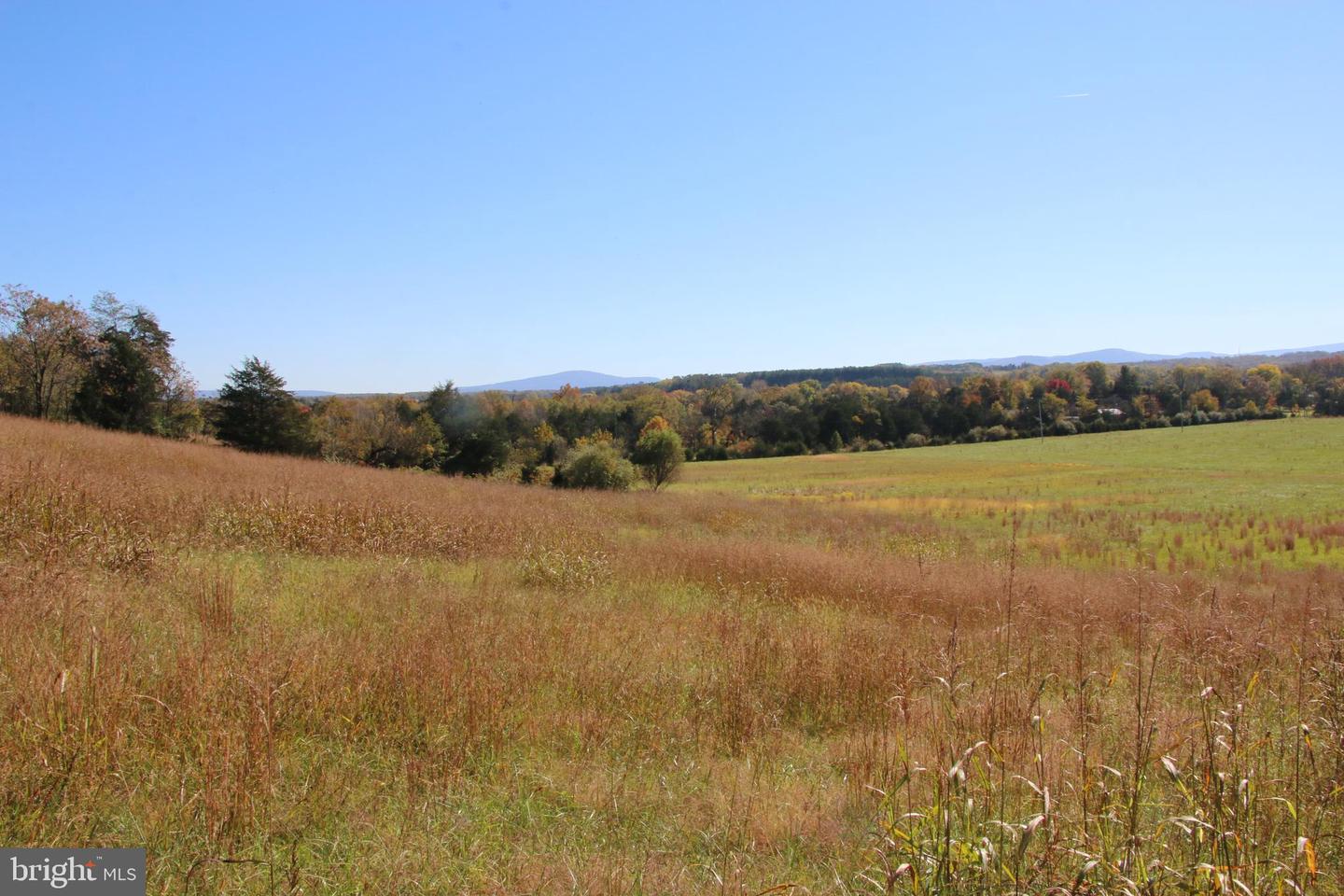 SADLICK LOT C-1 RD, STRASBURG, Virginia 22657, ,Land,For sale,SADLICK LOT C-1 RD,VAWR2009794 MLS # VAWR2009794