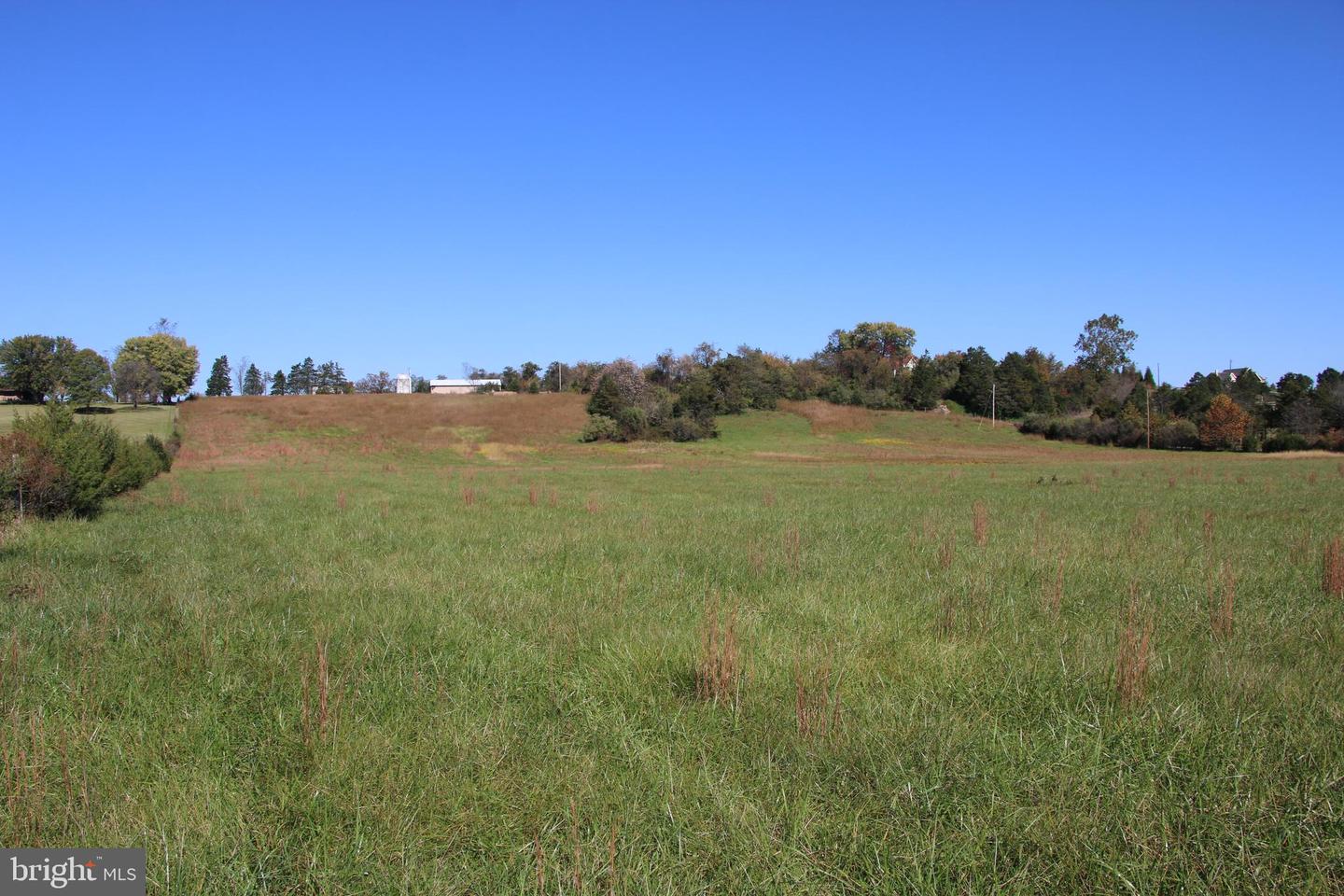 SADLICK LOT C-1 RD, STRASBURG, Virginia 22657, ,Land,For sale,SADLICK LOT C-1 RD,VAWR2009794 MLS # VAWR2009794