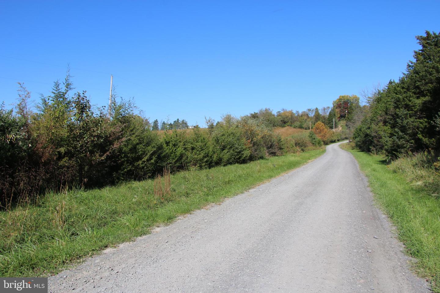 SADLICK LOT C-1 RD, STRASBURG, Virginia 22657, ,Land,For sale,SADLICK LOT C-1 RD,VAWR2009794 MLS # VAWR2009794