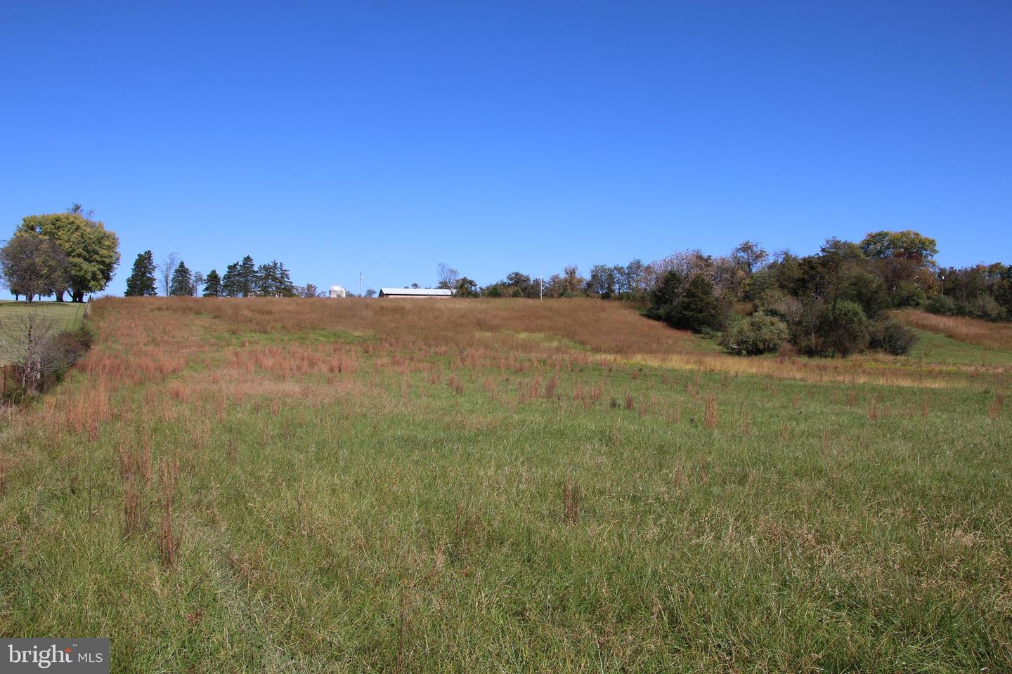 SADLICK LOT C-1 RD, STRASBURG, Virginia 22657, ,Land,For sale,SADLICK LOT C-1 RD,VAWR2009794 MLS # VAWR2009794