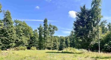 7337-B DICK WOODS RD #40B, AFTON, Virginia 22920, ,Land,For sale,7337-B DICK WOODS RD #40B,655285 MLS # 655285