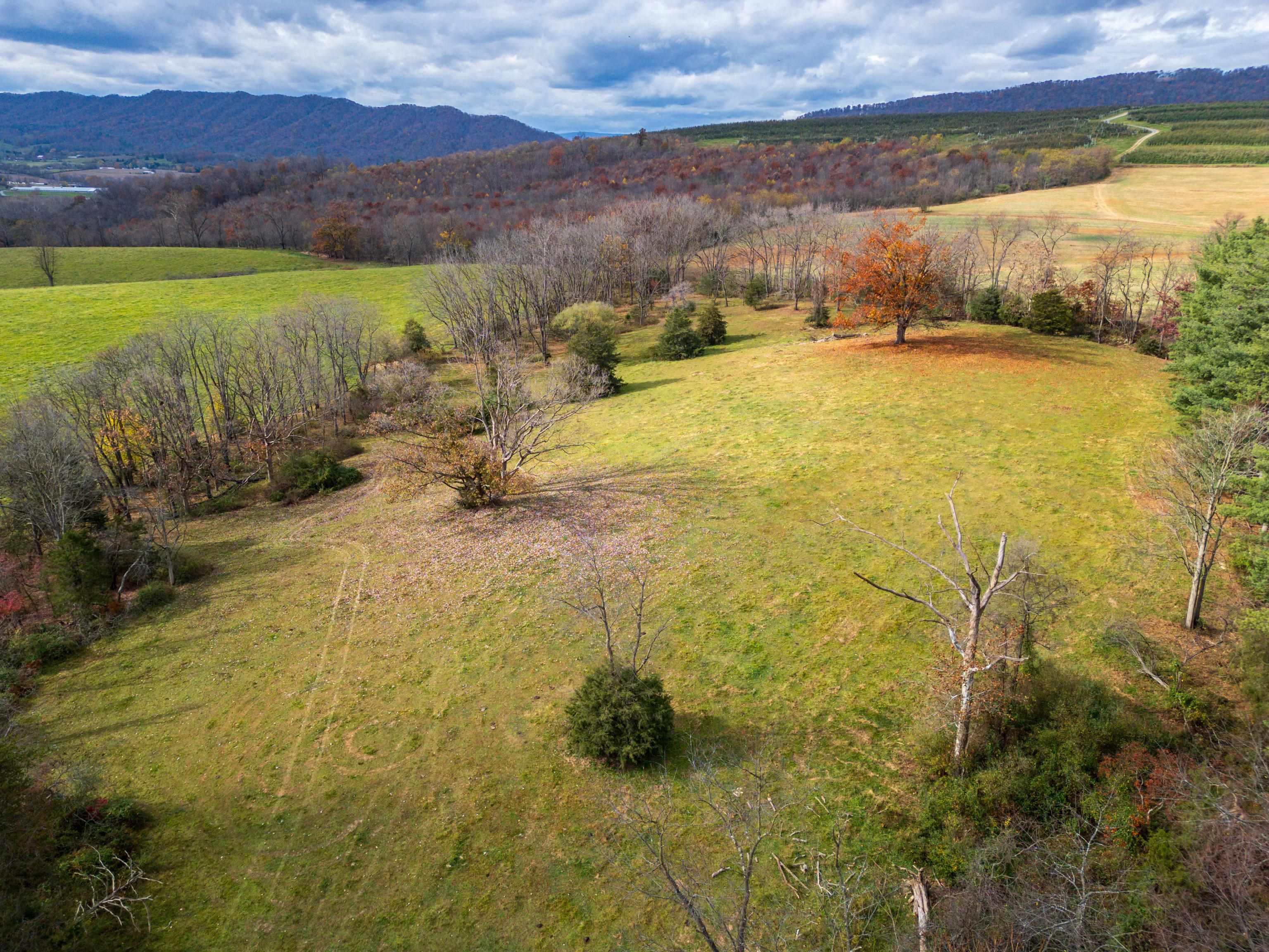 TBD CROSSROADS LN, TIMBERVILLE, Virginia 22853, ,Land,TBD CROSSROADS LN,659167 MLS # 659167