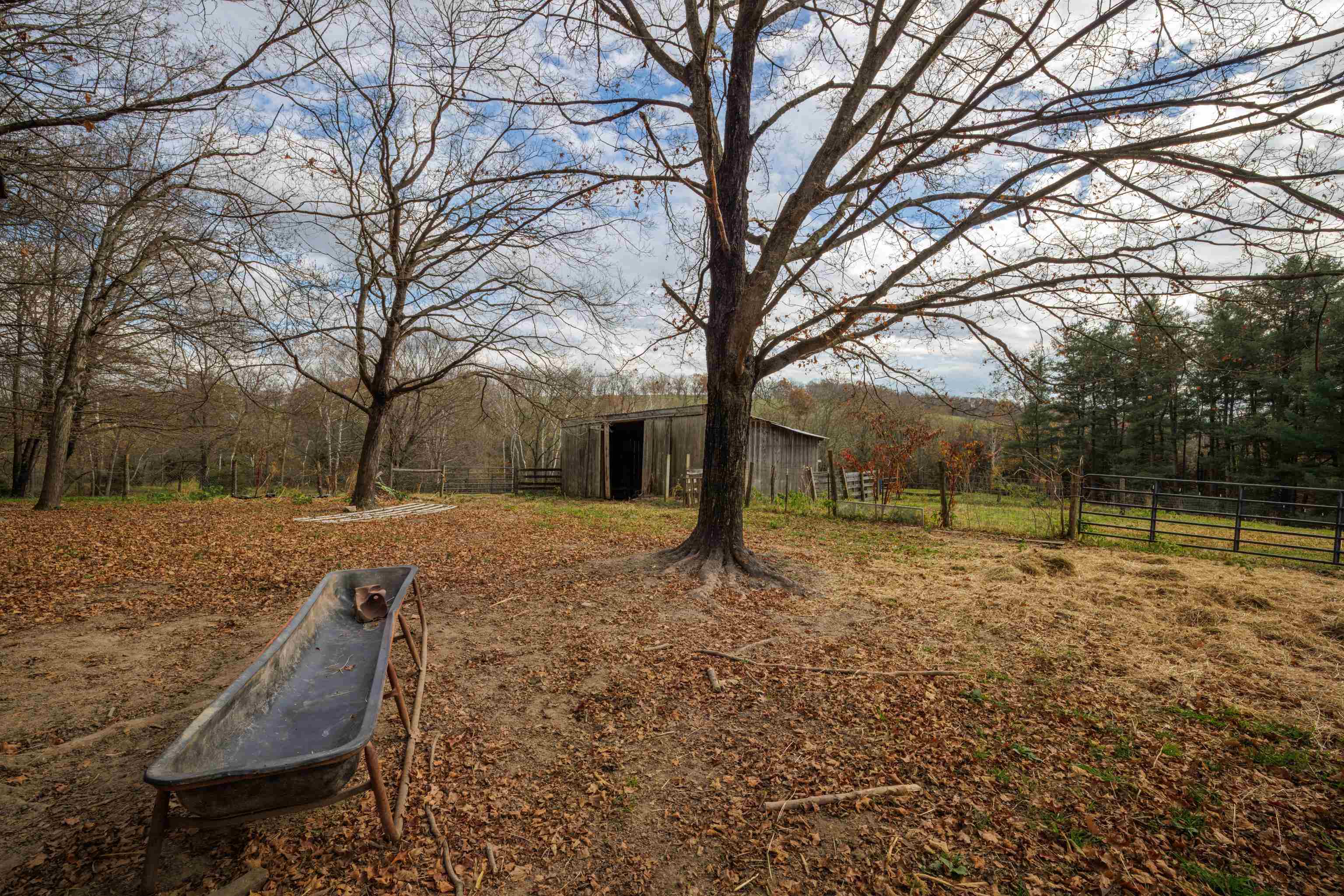 TBD CROSSROADS LN, TIMBERVILLE, Virginia 22853, ,Land,TBD CROSSROADS LN,659167 MLS # 659167