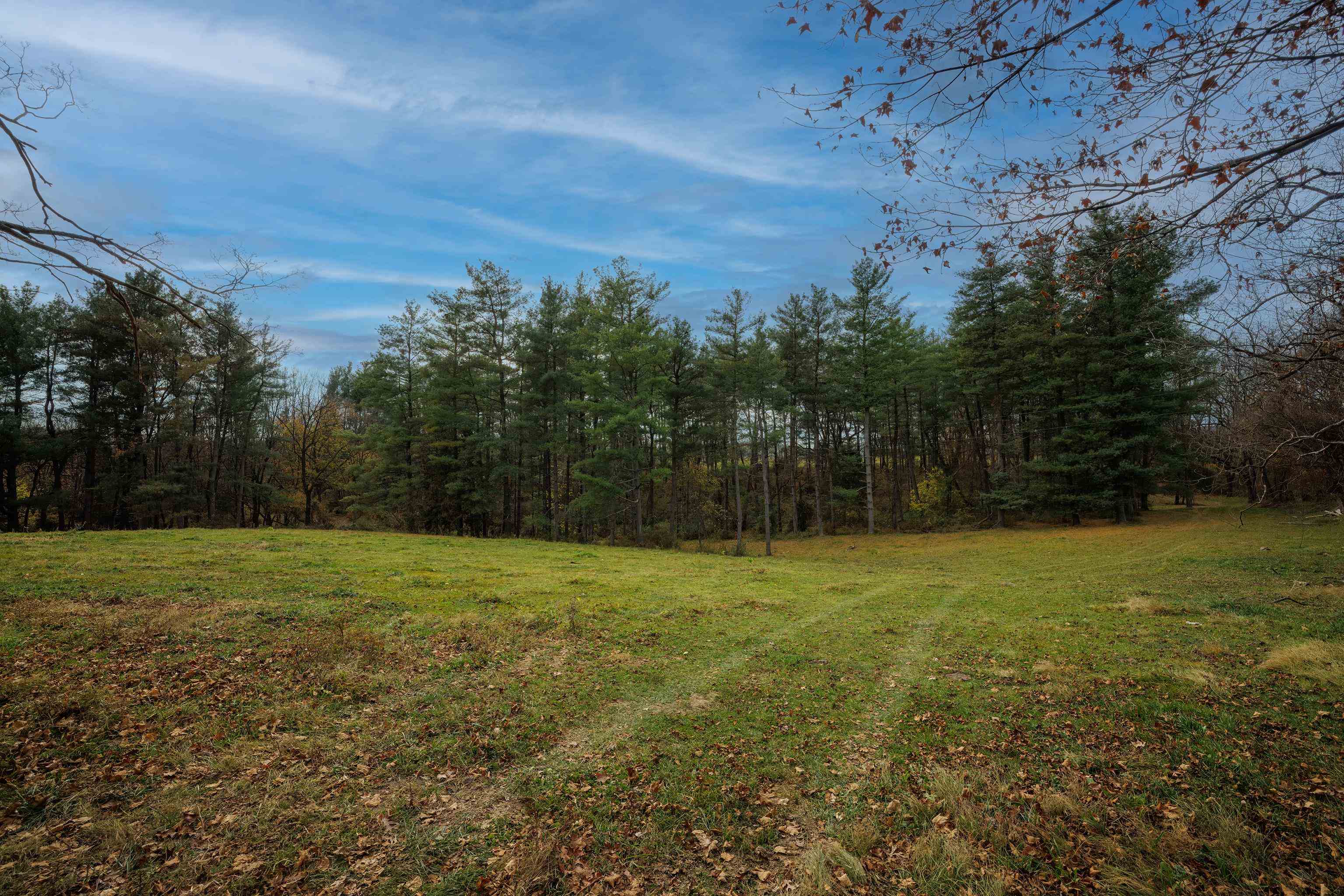 TBD CROSSROADS LN, TIMBERVILLE, Virginia 22853, ,Land,TBD CROSSROADS LN,659167 MLS # 659167