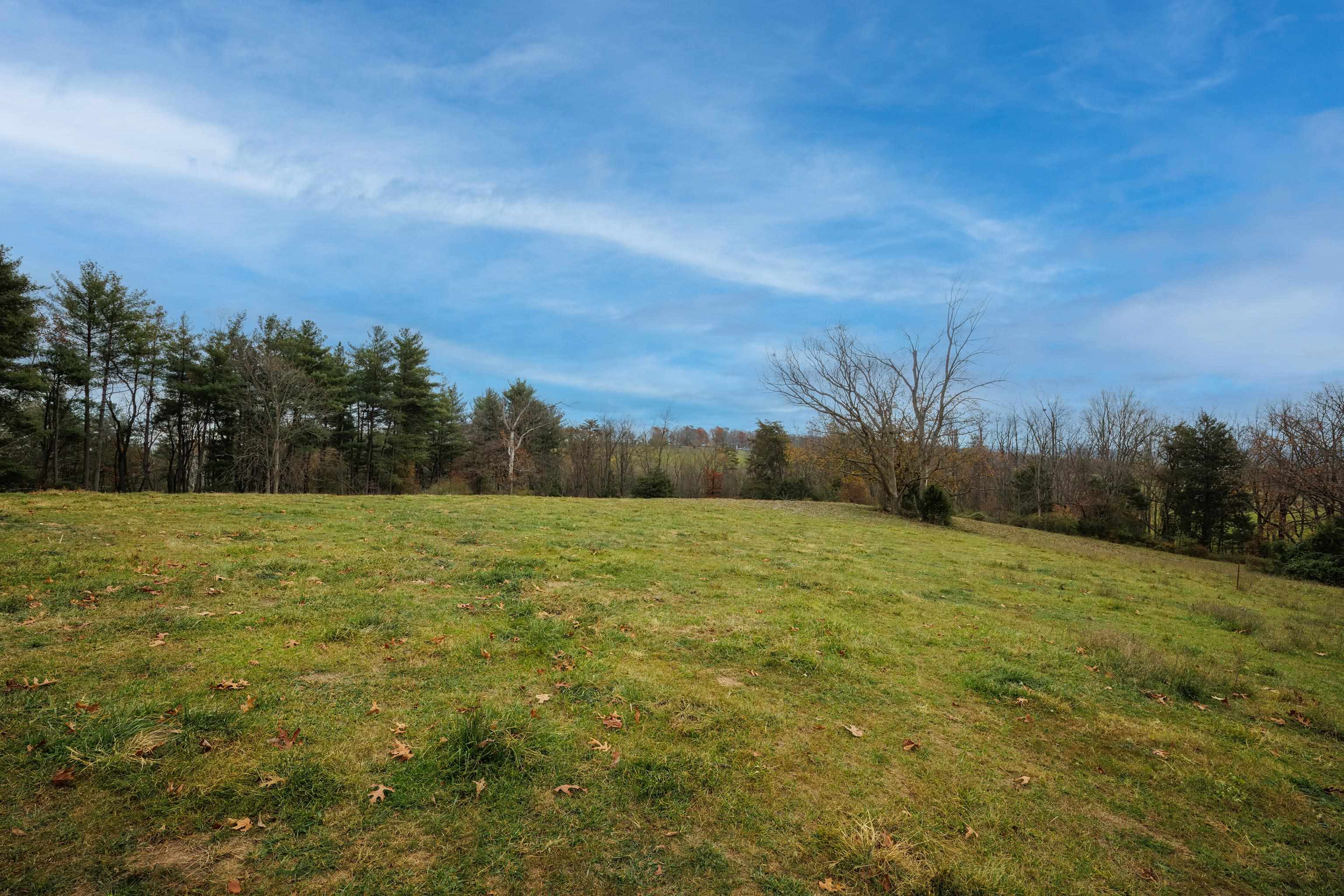 TBD CROSSROADS LN, TIMBERVILLE, Virginia 22853, ,Land,TBD CROSSROADS LN,659167 MLS # 659167