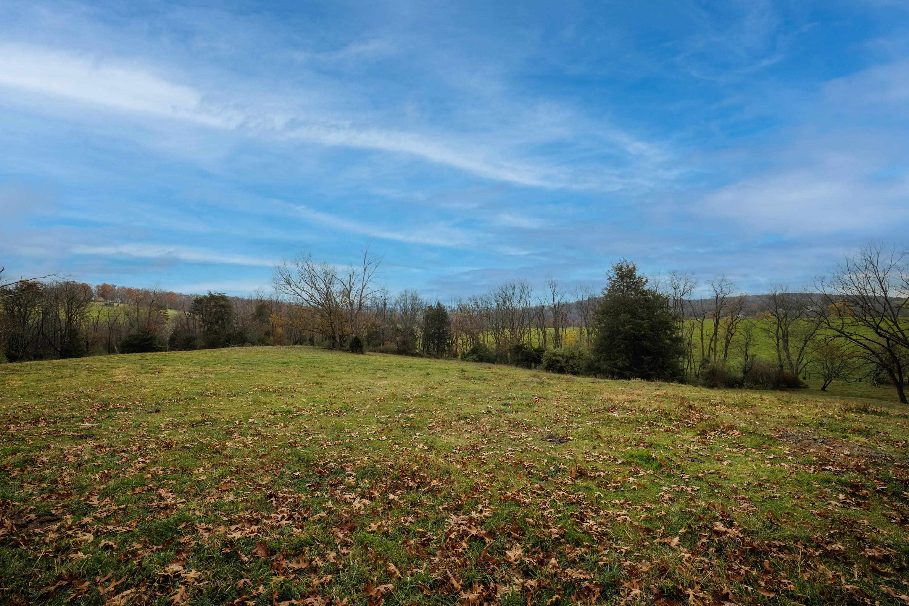 TBD CROSSROADS LN, TIMBERVILLE, Virginia 22853, ,Land,TBD CROSSROADS LN,659167 MLS # 659167