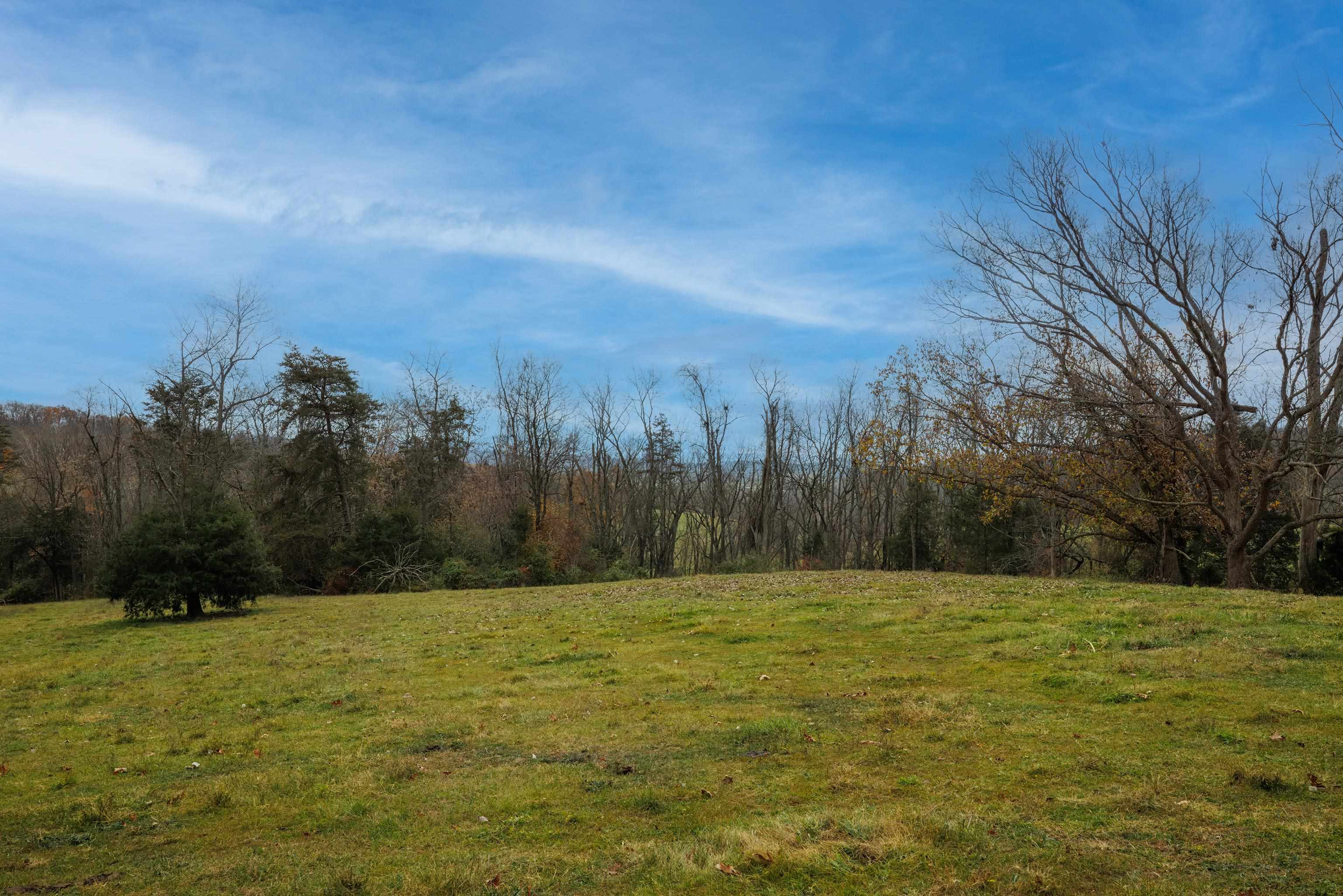 TBD CROSSROADS LN, TIMBERVILLE, Virginia 22853, ,Land,TBD CROSSROADS LN,659167 MLS # 659167