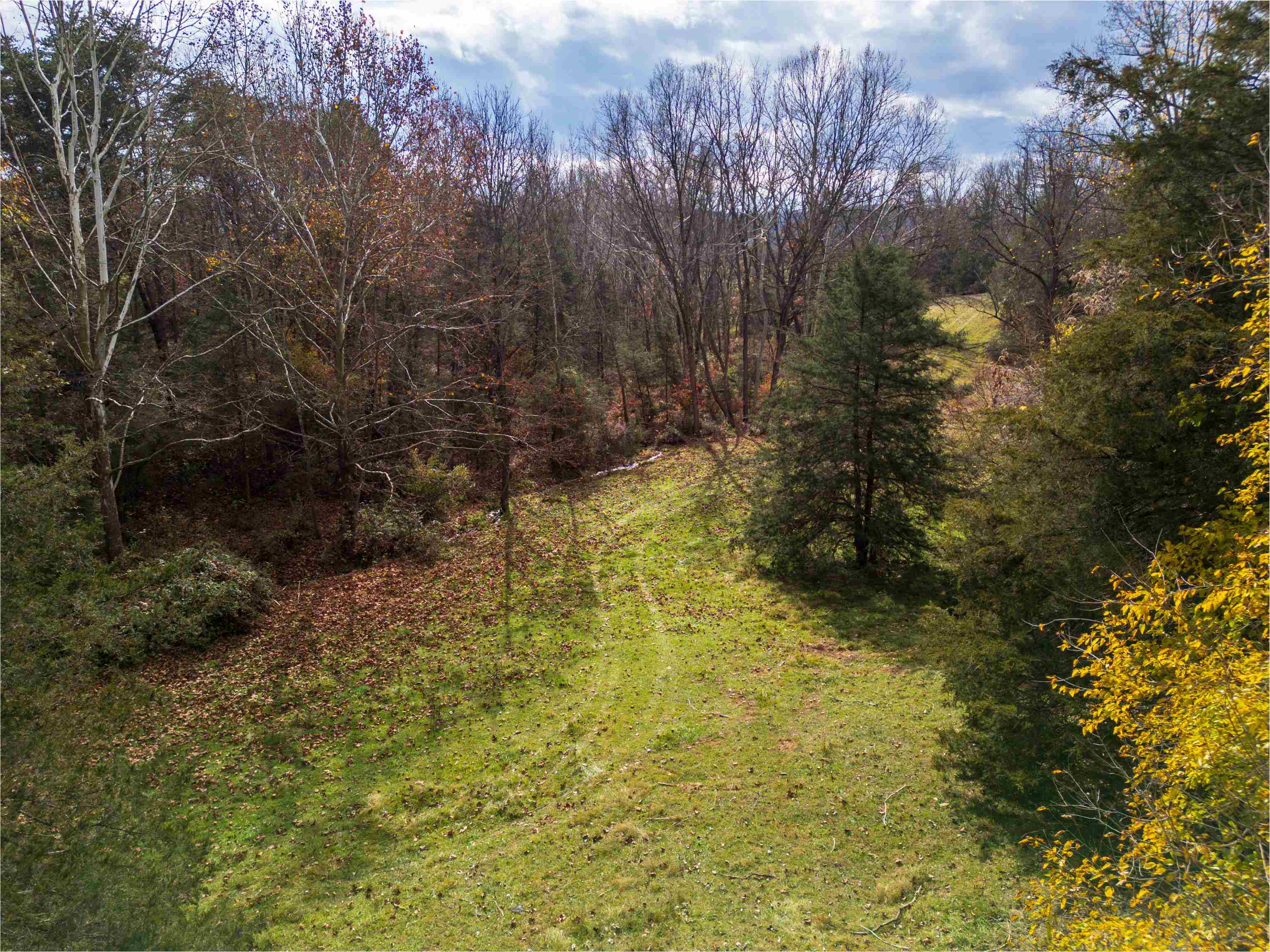 TBD CROSSROADS LN, TIMBERVILLE, Virginia 22853, ,Land,TBD CROSSROADS LN,659167 MLS # 659167