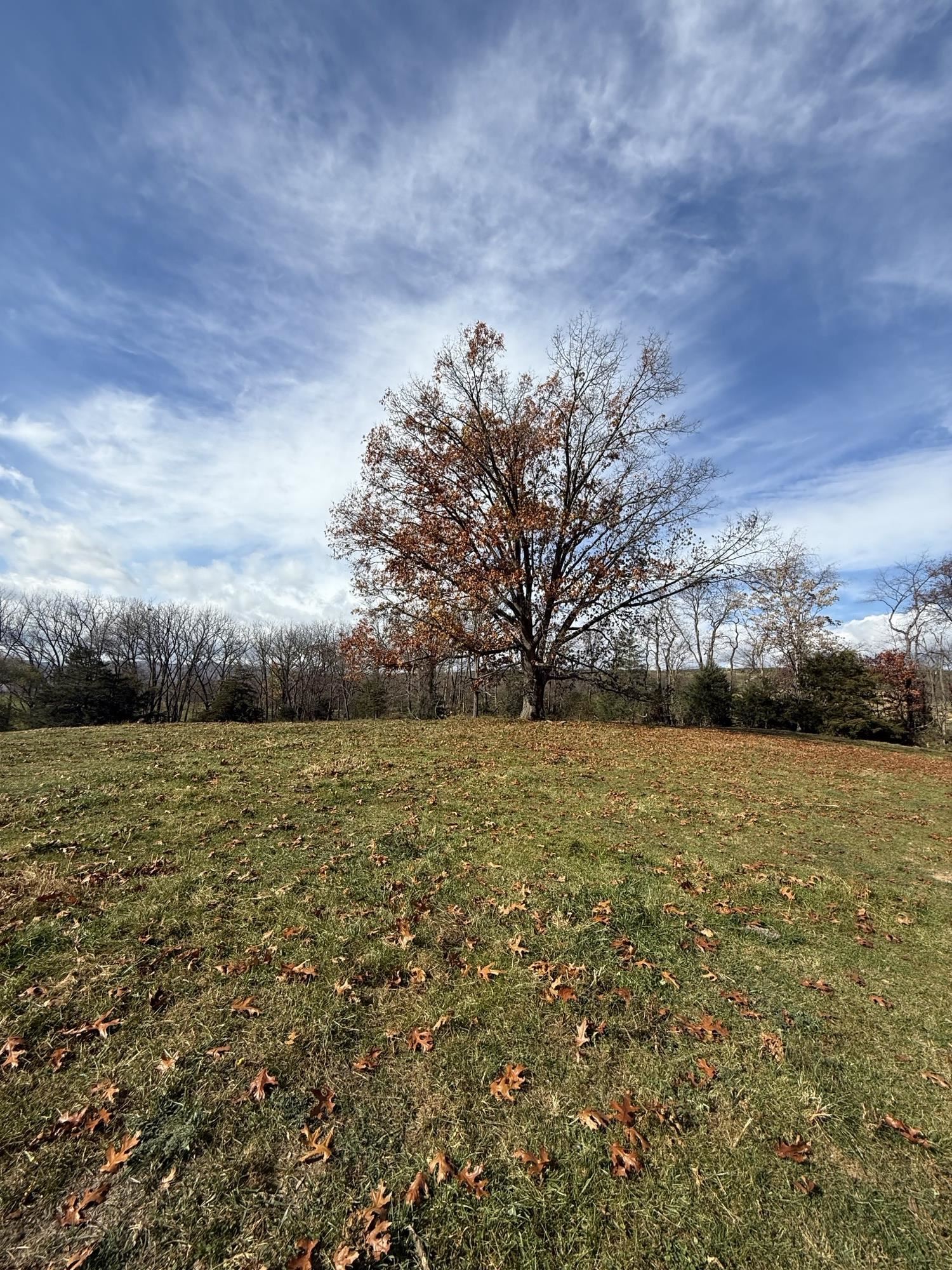 TBD CROSSROADS LN, TIMBERVILLE, Virginia 22853, ,Land,TBD CROSSROADS LN,659167 MLS # 659167