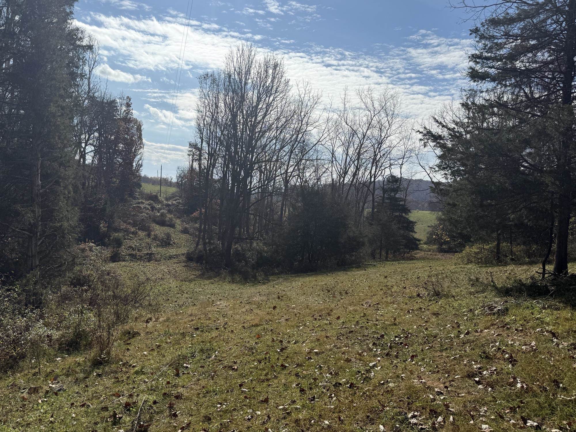 TBD CROSSROADS LN, TIMBERVILLE, Virginia 22853, ,Land,TBD CROSSROADS LN,659167 MLS # 659167