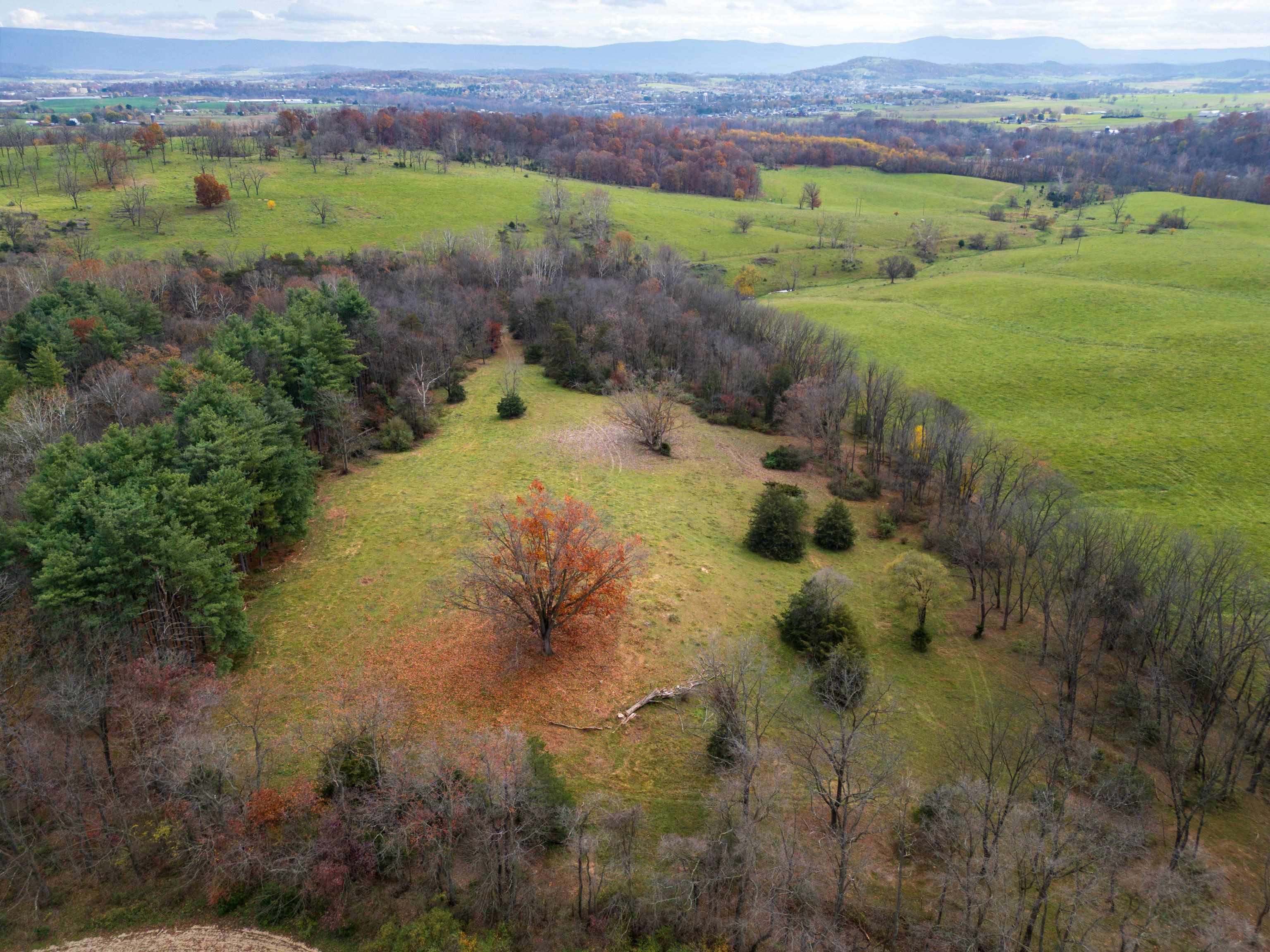 TBD CROSSROADS LN, TIMBERVILLE, Virginia 22853, ,Land,TBD CROSSROADS LN,659167 MLS # 659167