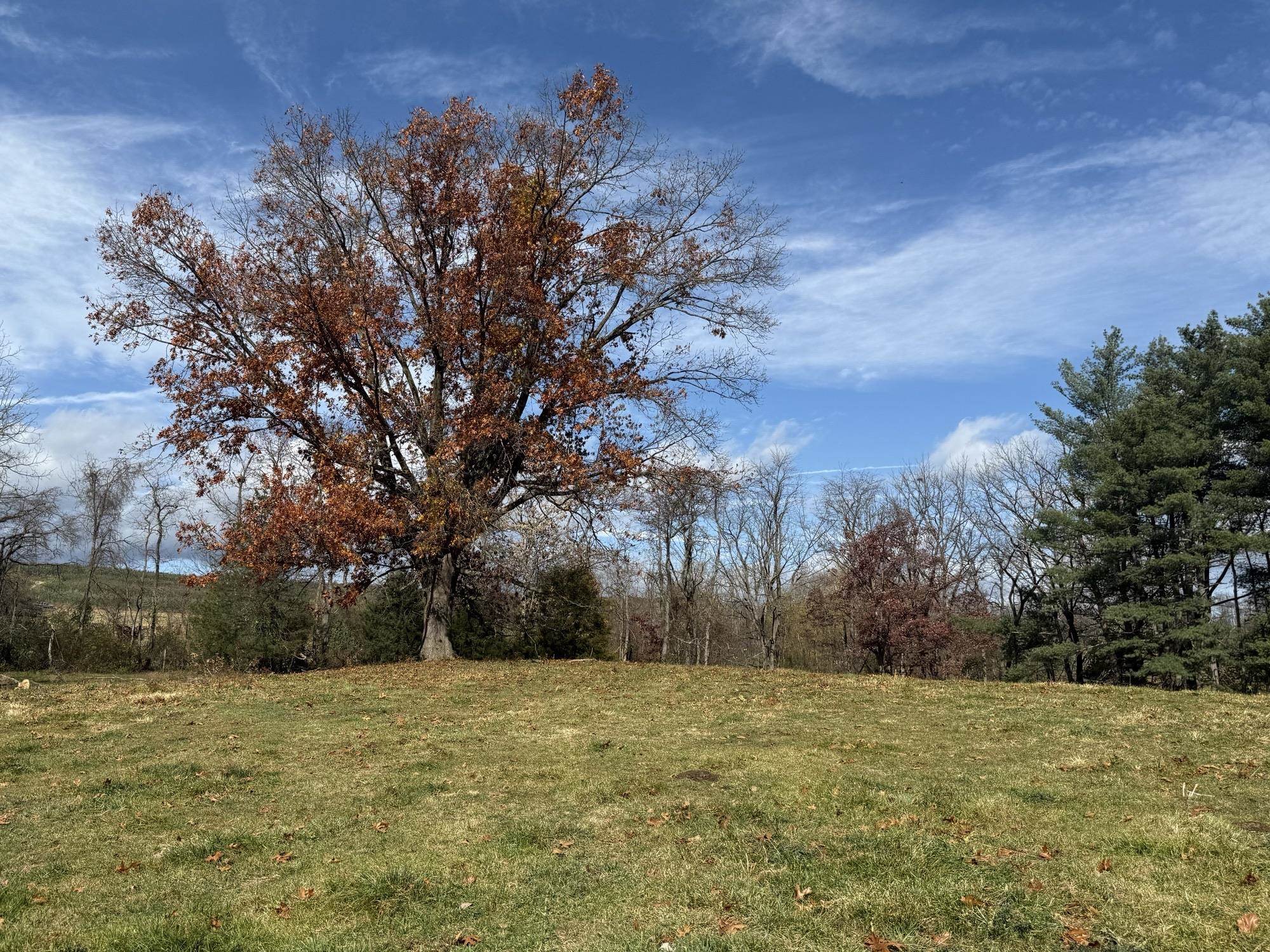 TBD CROSSROADS LN, TIMBERVILLE, Virginia 22853, ,Land,TBD CROSSROADS LN,659167 MLS # 659167