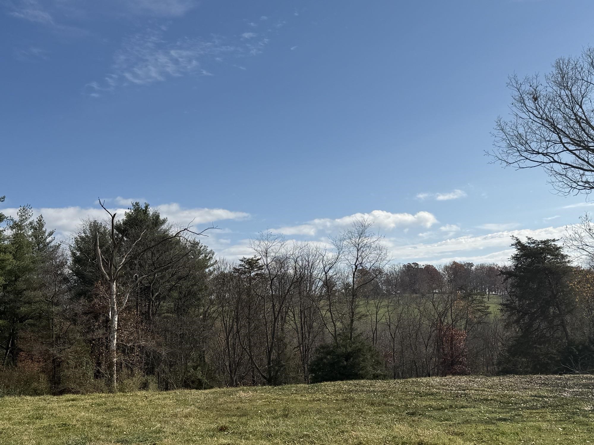 TBD CROSSROADS LN, TIMBERVILLE, Virginia 22853, ,Land,TBD CROSSROADS LN,659167 MLS # 659167