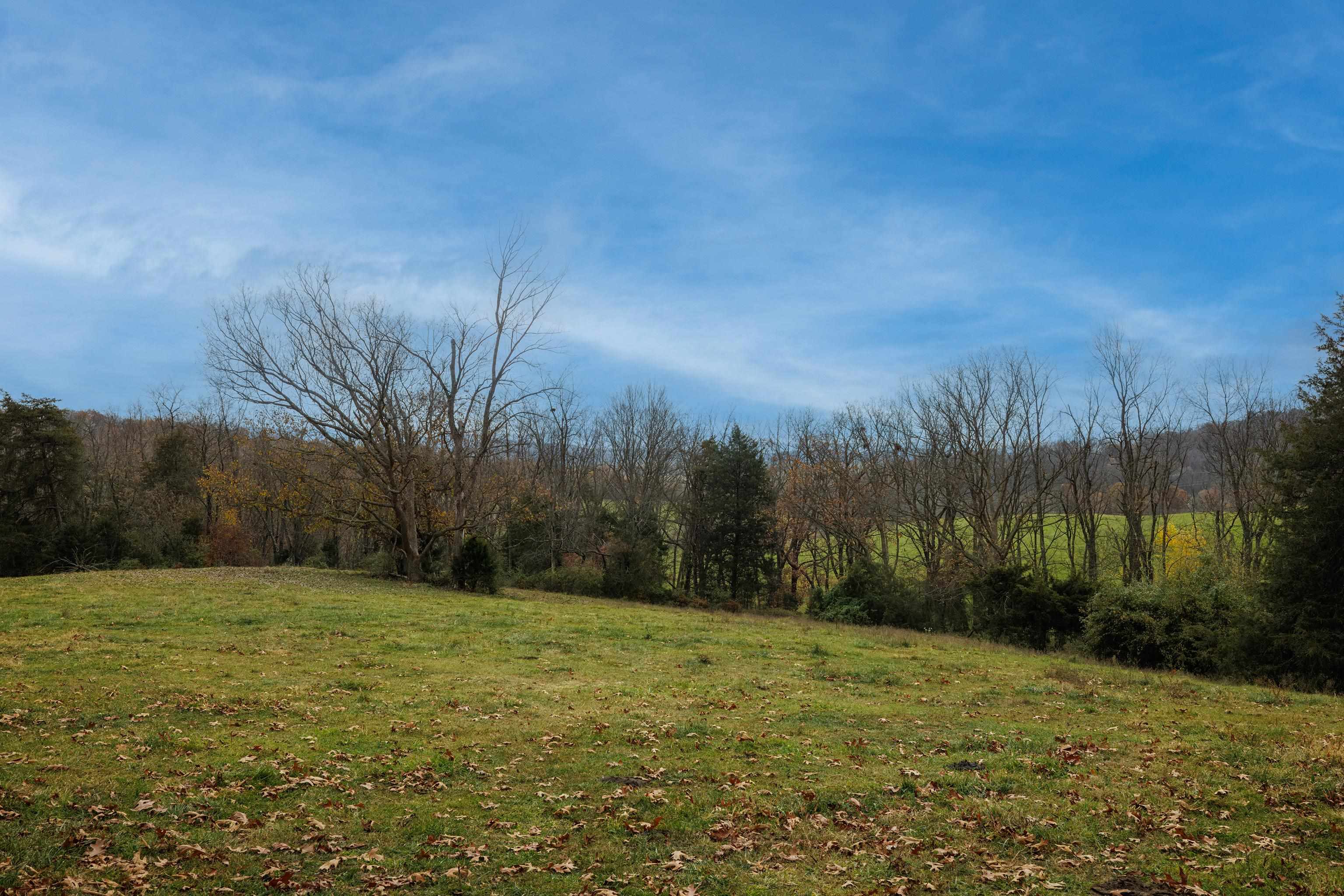 TBD CROSSROADS LN, TIMBERVILLE, Virginia 22853, ,Land,TBD CROSSROADS LN,659167 MLS # 659167