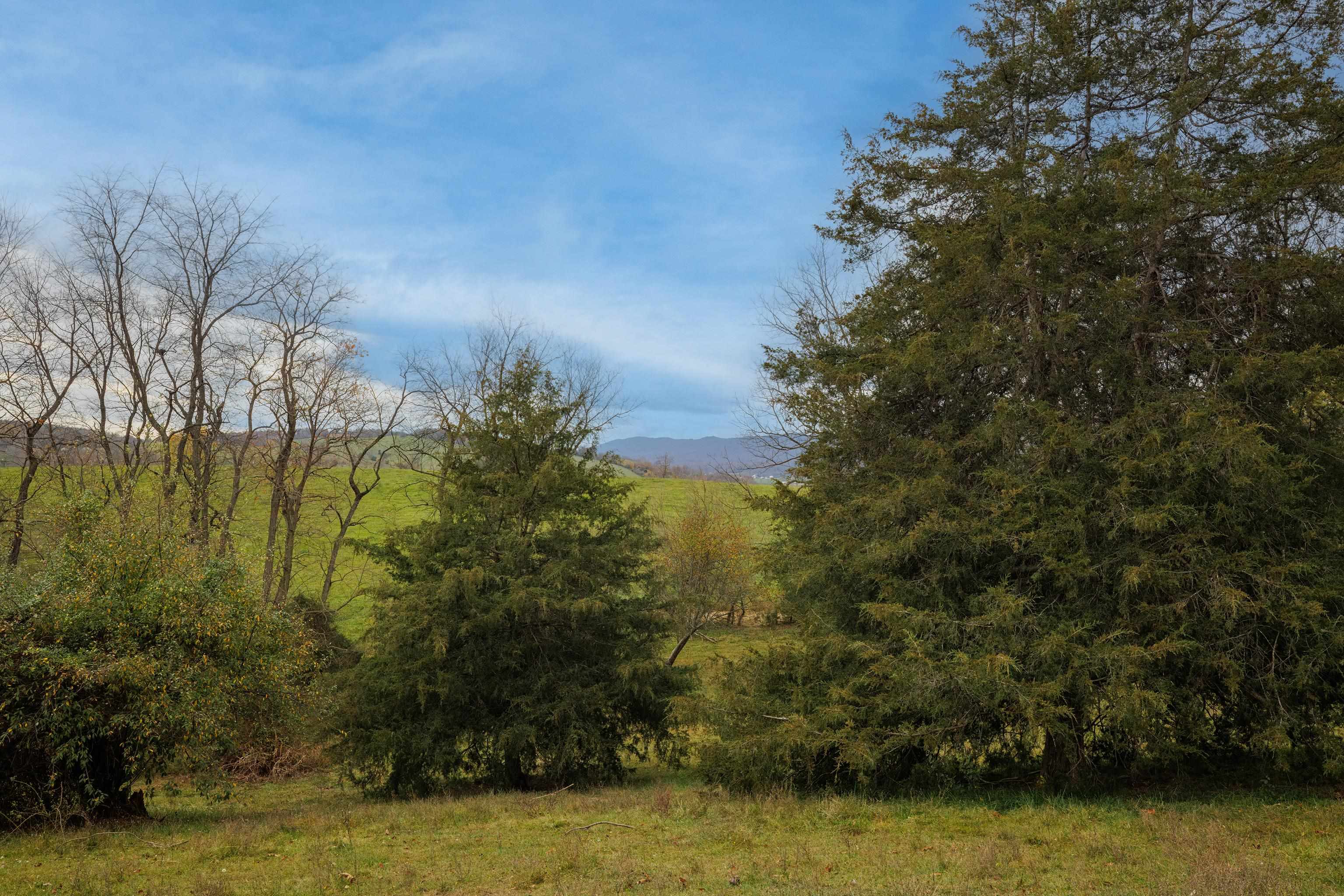 TBD CROSSROADS LN, TIMBERVILLE, Virginia 22853, ,Land,TBD CROSSROADS LN,659167 MLS # 659167