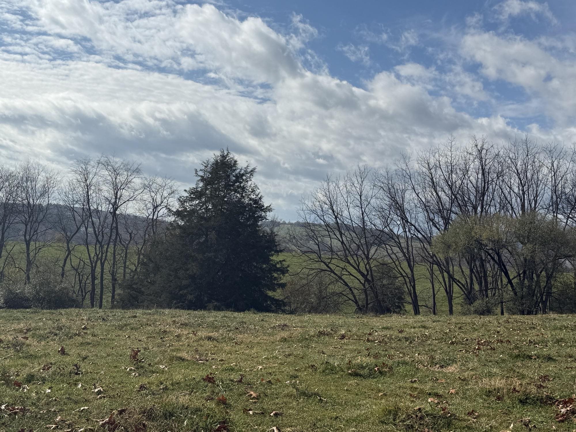 TBD CROSSROADS LN, TIMBERVILLE, Virginia 22853, ,Land,TBD CROSSROADS LN,659167 MLS # 659167