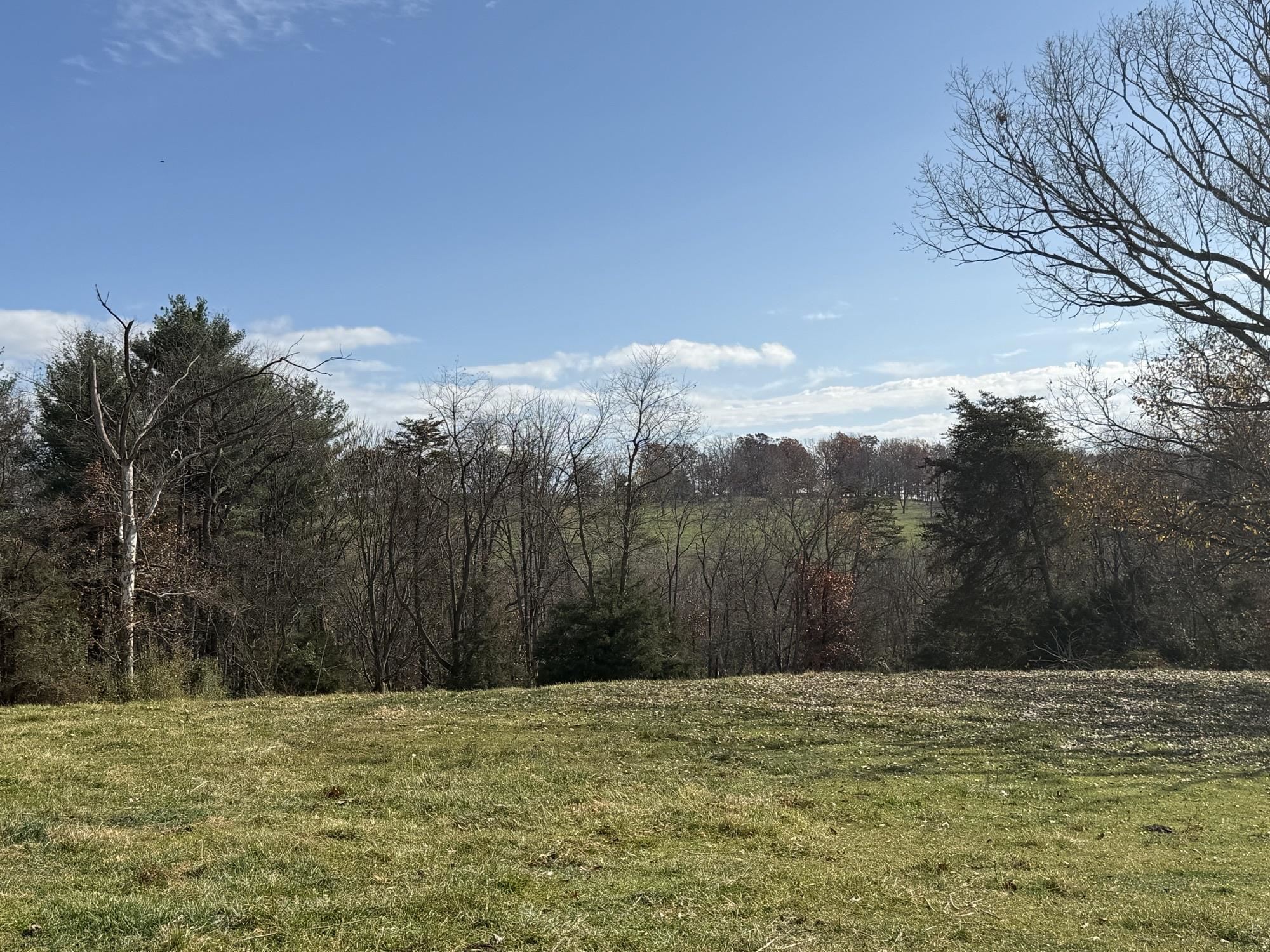 TBD CROSSROADS LN, TIMBERVILLE, Virginia 22853, ,Land,TBD CROSSROADS LN,659167 MLS # 659167