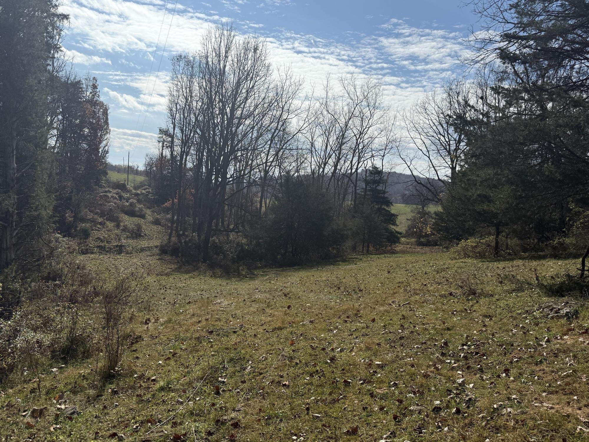 TBD CROSSROADS LN, TIMBERVILLE, Virginia 22853, ,Land,TBD CROSSROADS LN,659167 MLS # 659167