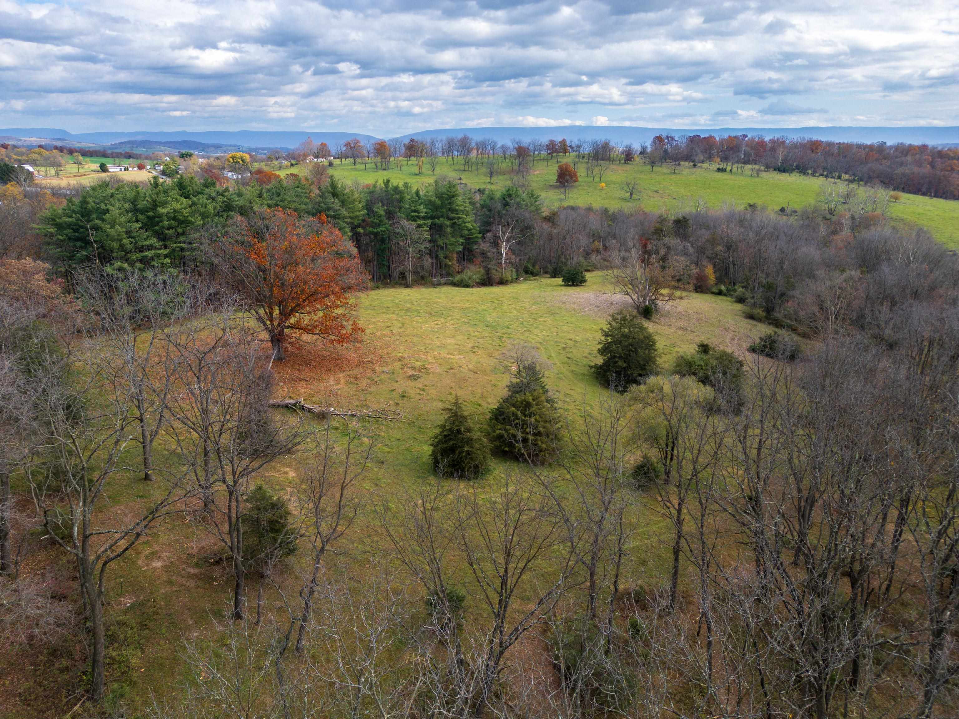 TBD CROSSROADS LN, TIMBERVILLE, Virginia 22853, ,Land,TBD CROSSROADS LN,659167 MLS # 659167