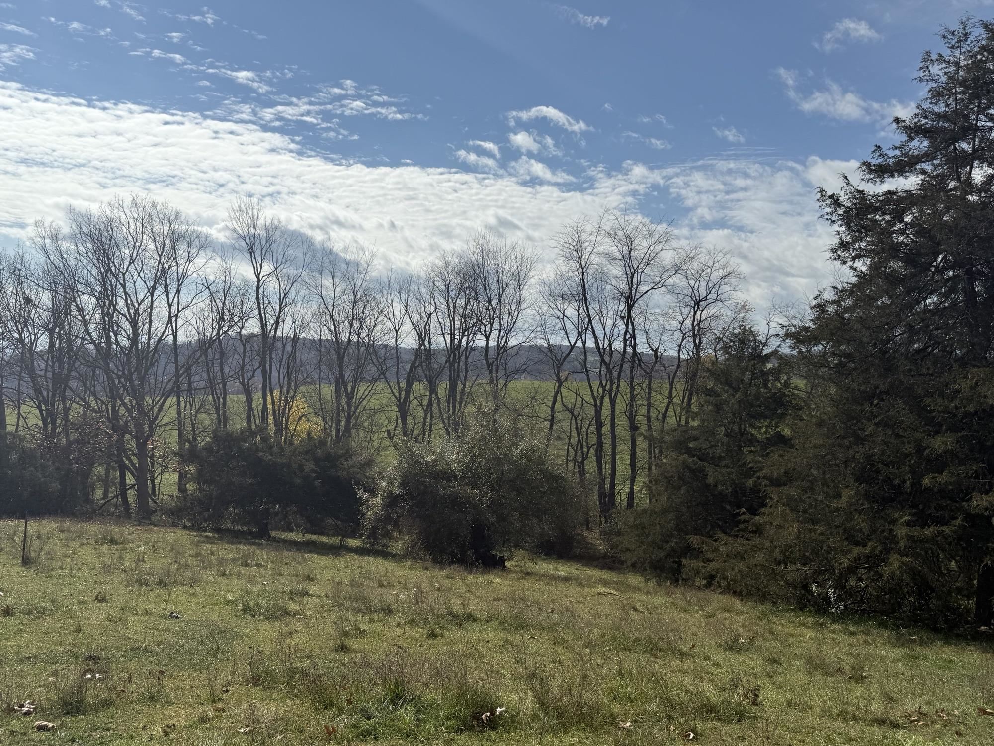 TBD CROSSROADS LN, TIMBERVILLE, Virginia 22853, ,Land,TBD CROSSROADS LN,659167 MLS # 659167