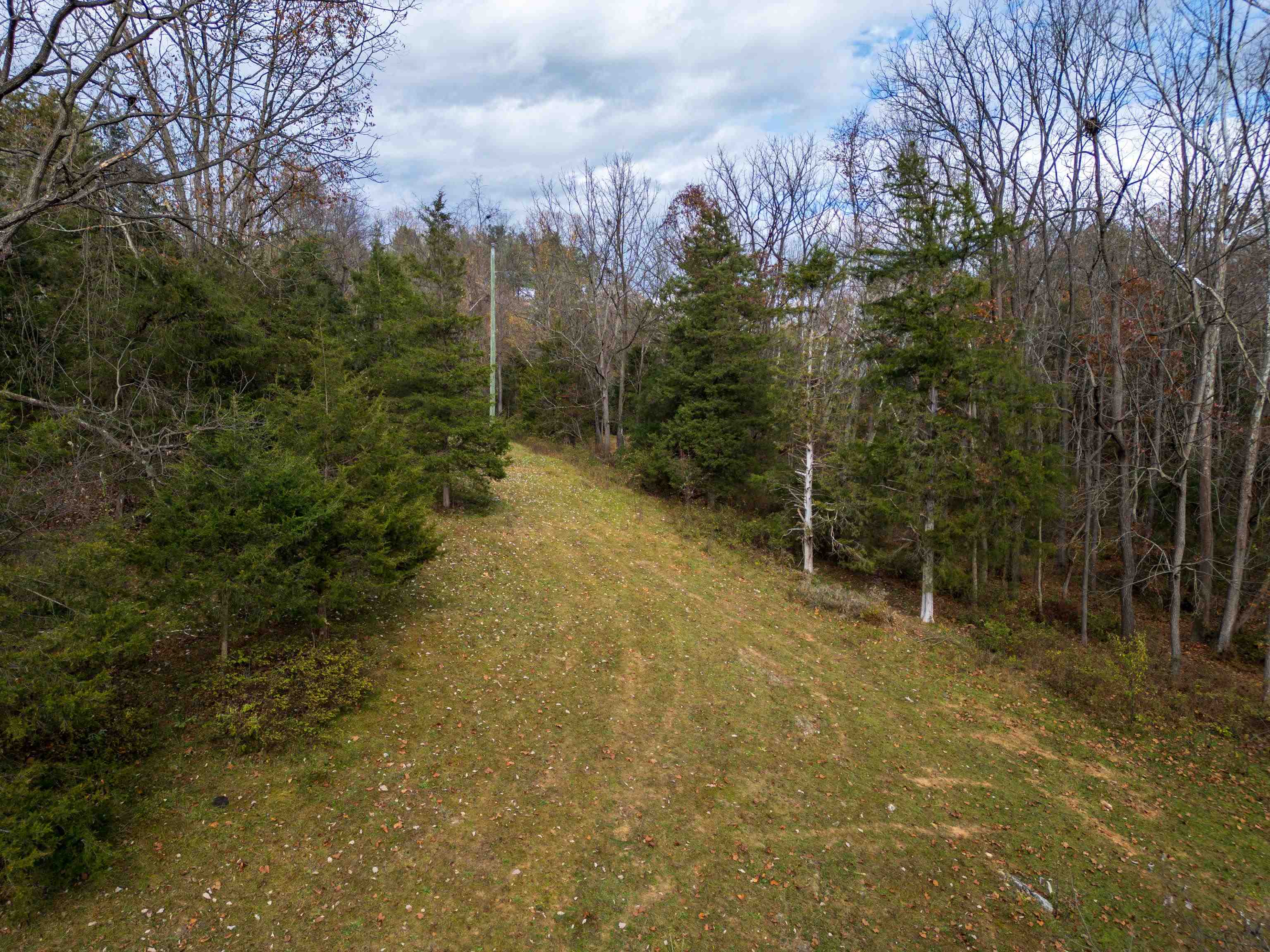 TBD CROSSROADS LN, TIMBERVILLE, Virginia 22853, ,Land,TBD CROSSROADS LN,659167 MLS # 659167