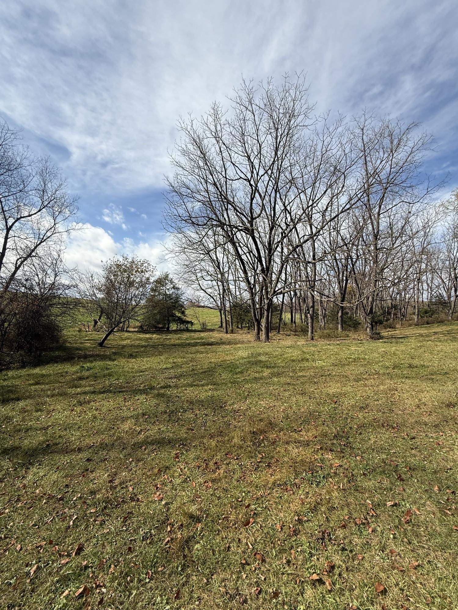 TBD CROSSROADS LN, TIMBERVILLE, Virginia 22853, ,Land,TBD CROSSROADS LN,659167 MLS # 659167