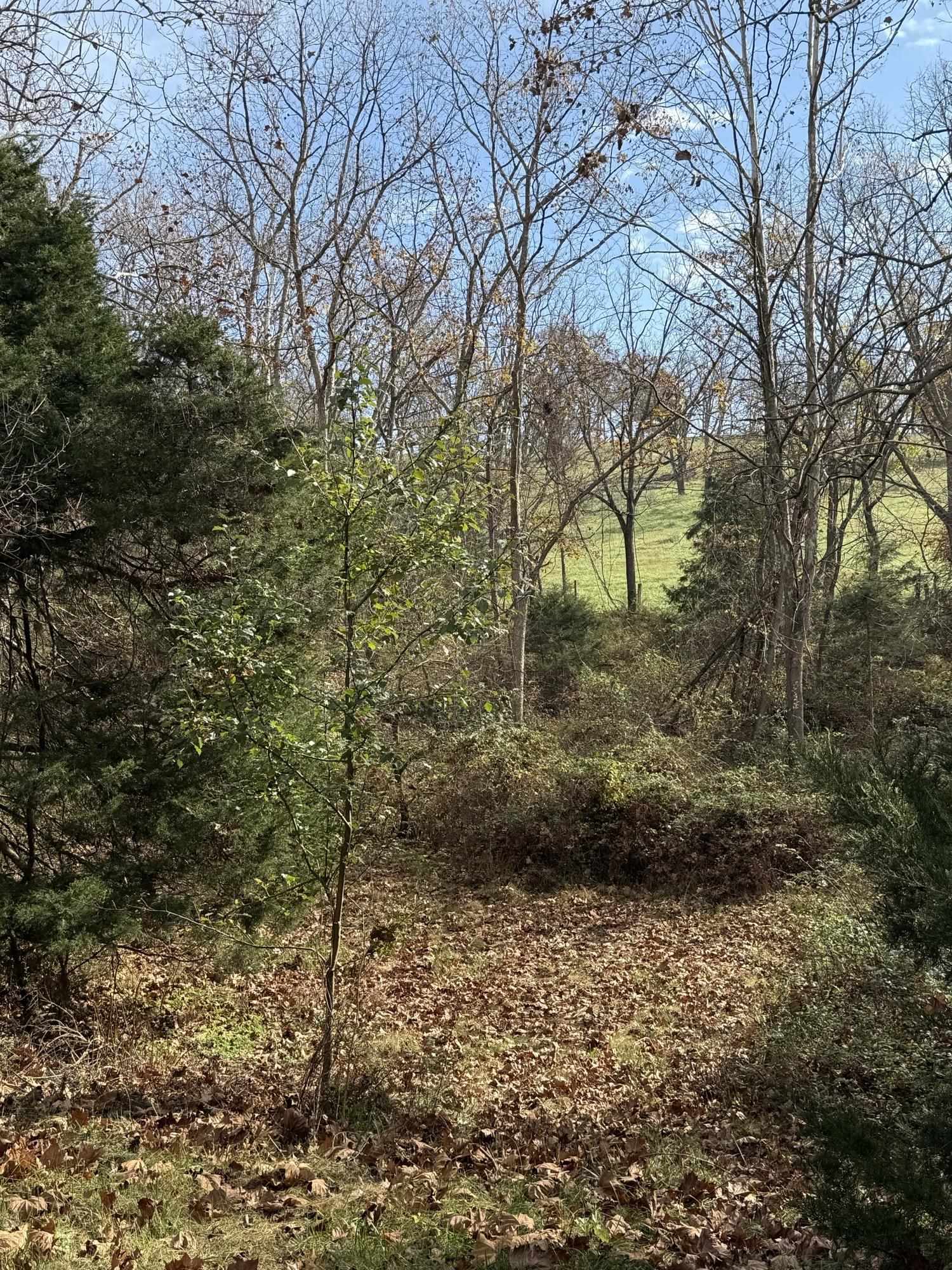 TBD CROSSROADS LN, TIMBERVILLE, Virginia 22853, ,Land,TBD CROSSROADS LN,659167 MLS # 659167