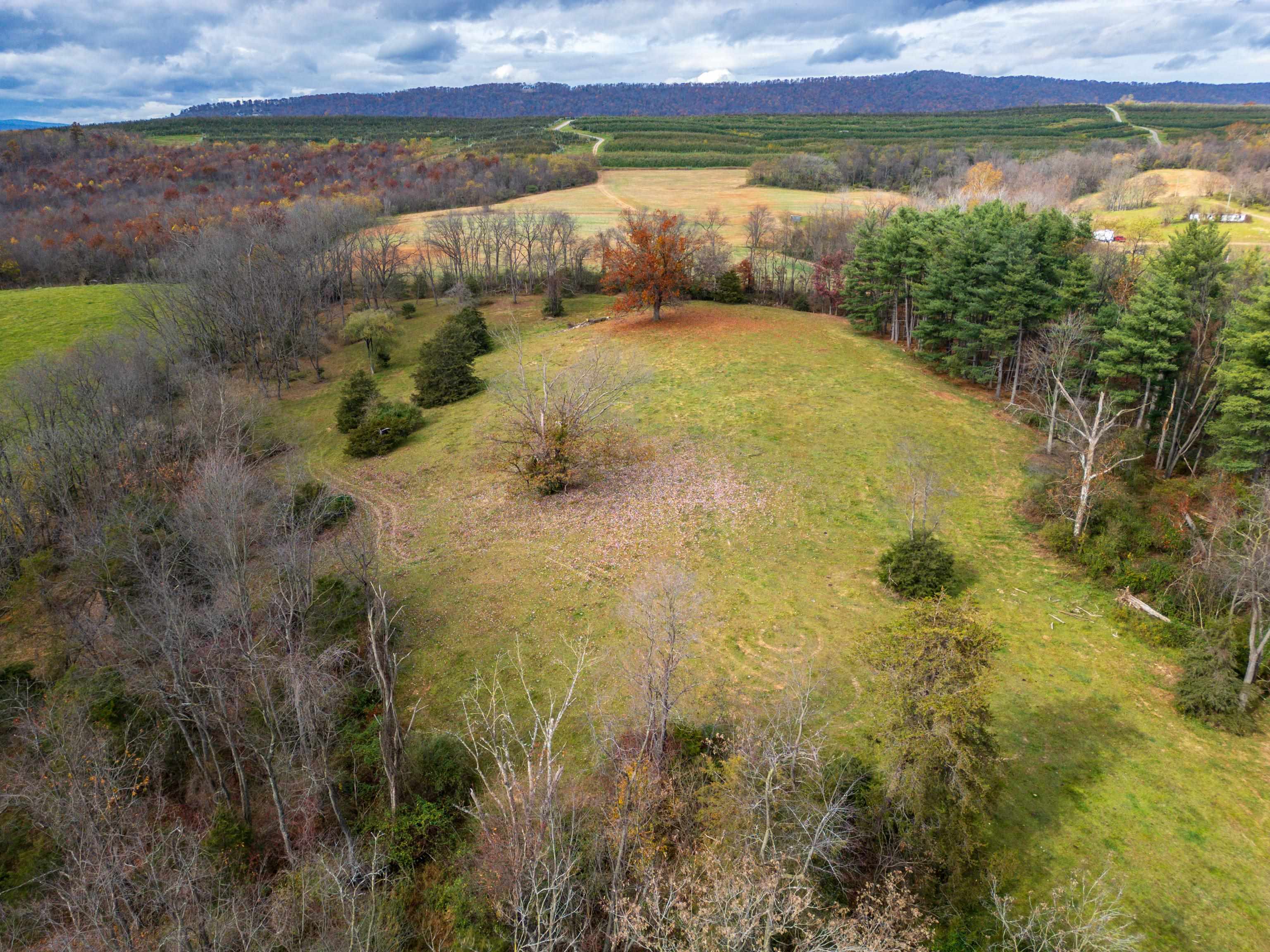 TBD CROSSROADS LN, TIMBERVILLE, Virginia 22853, ,Land,TBD CROSSROADS LN,659167 MLS # 659167