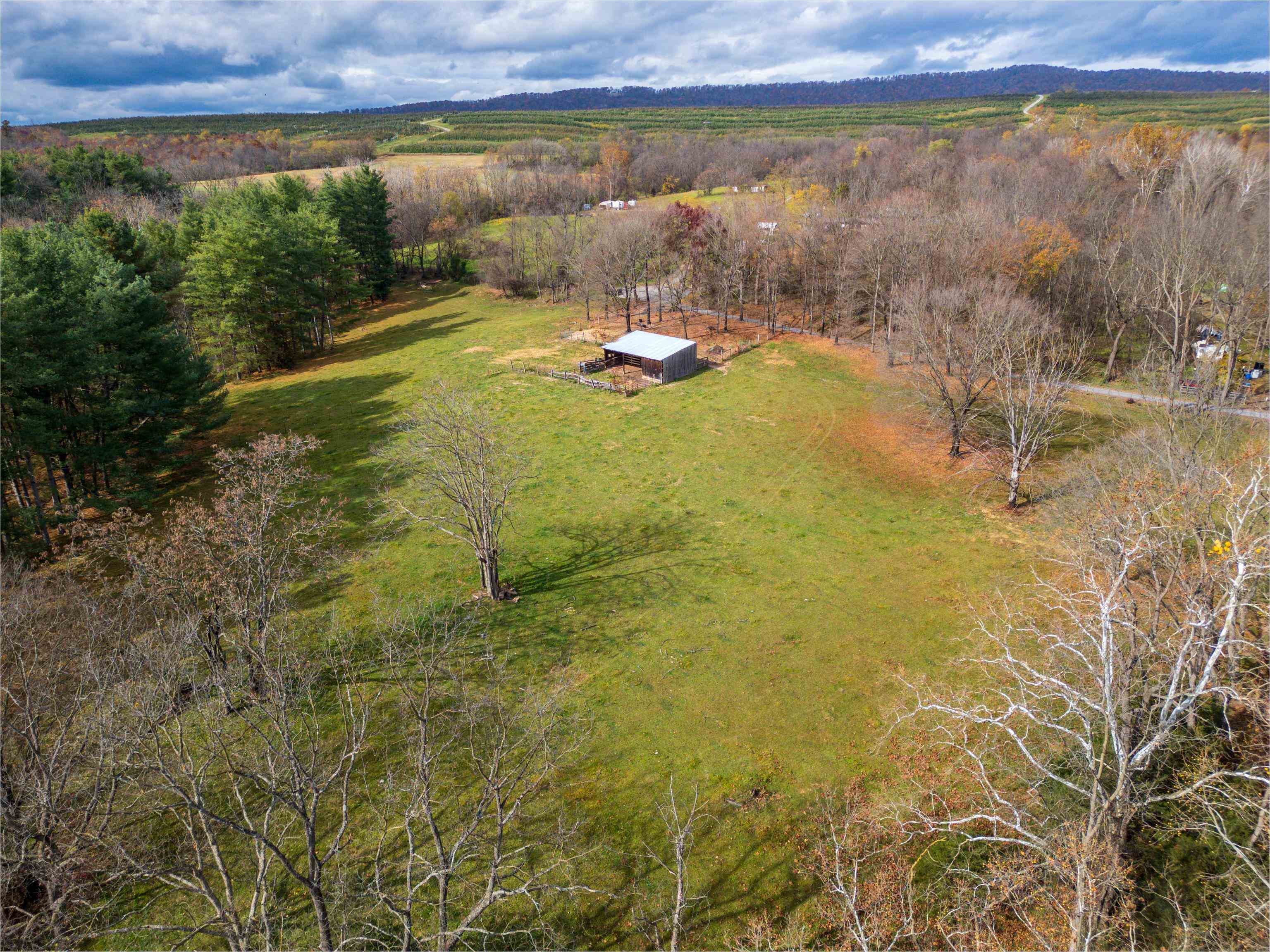 TBD CROSSROADS LN, TIMBERVILLE, Virginia 22853, ,Land,TBD CROSSROADS LN,659167 MLS # 659167