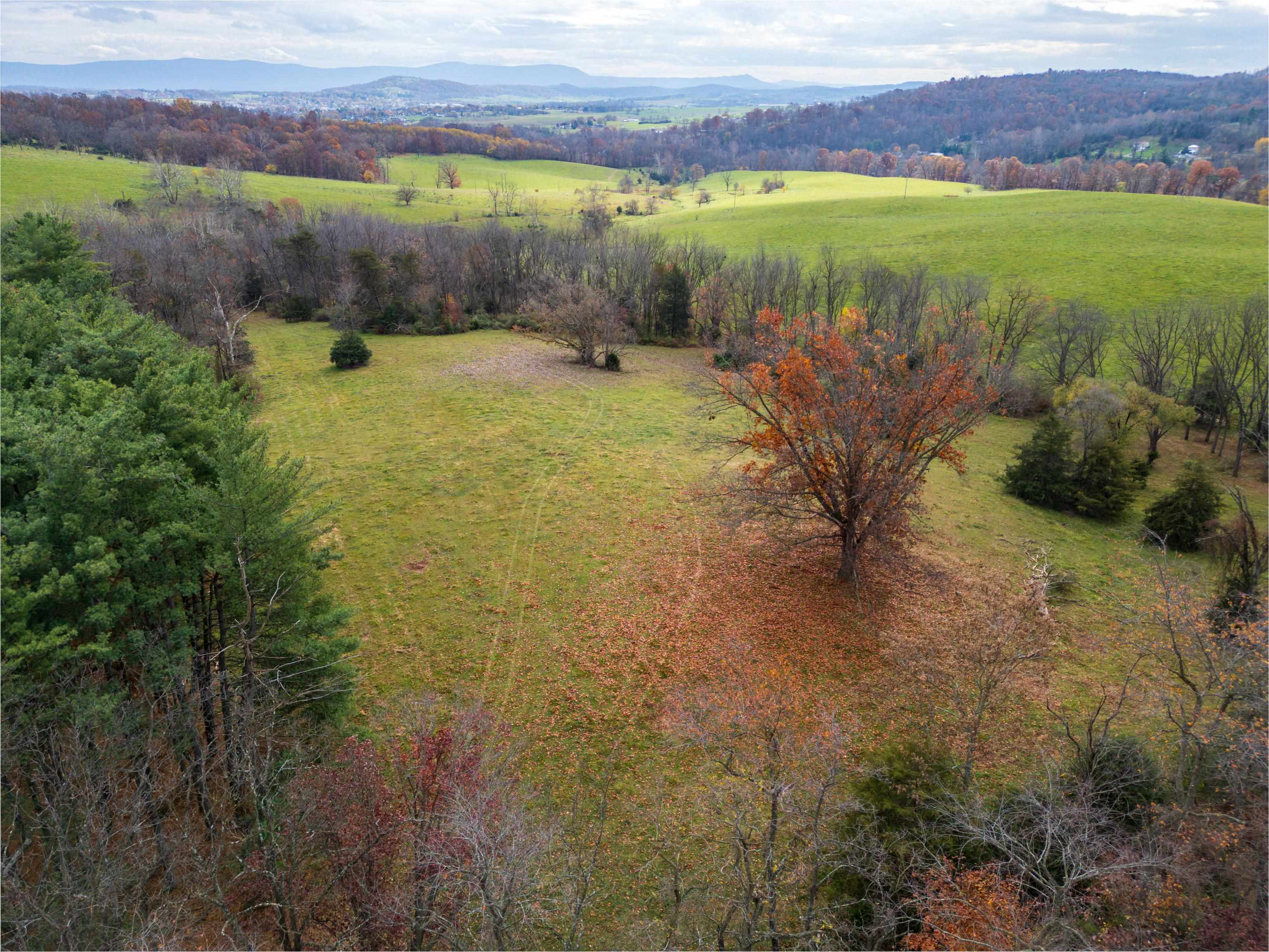 TBD CROSSROADS LN, TIMBERVILLE, Virginia 22853, ,Land,TBD CROSSROADS LN,659167 MLS # 659167