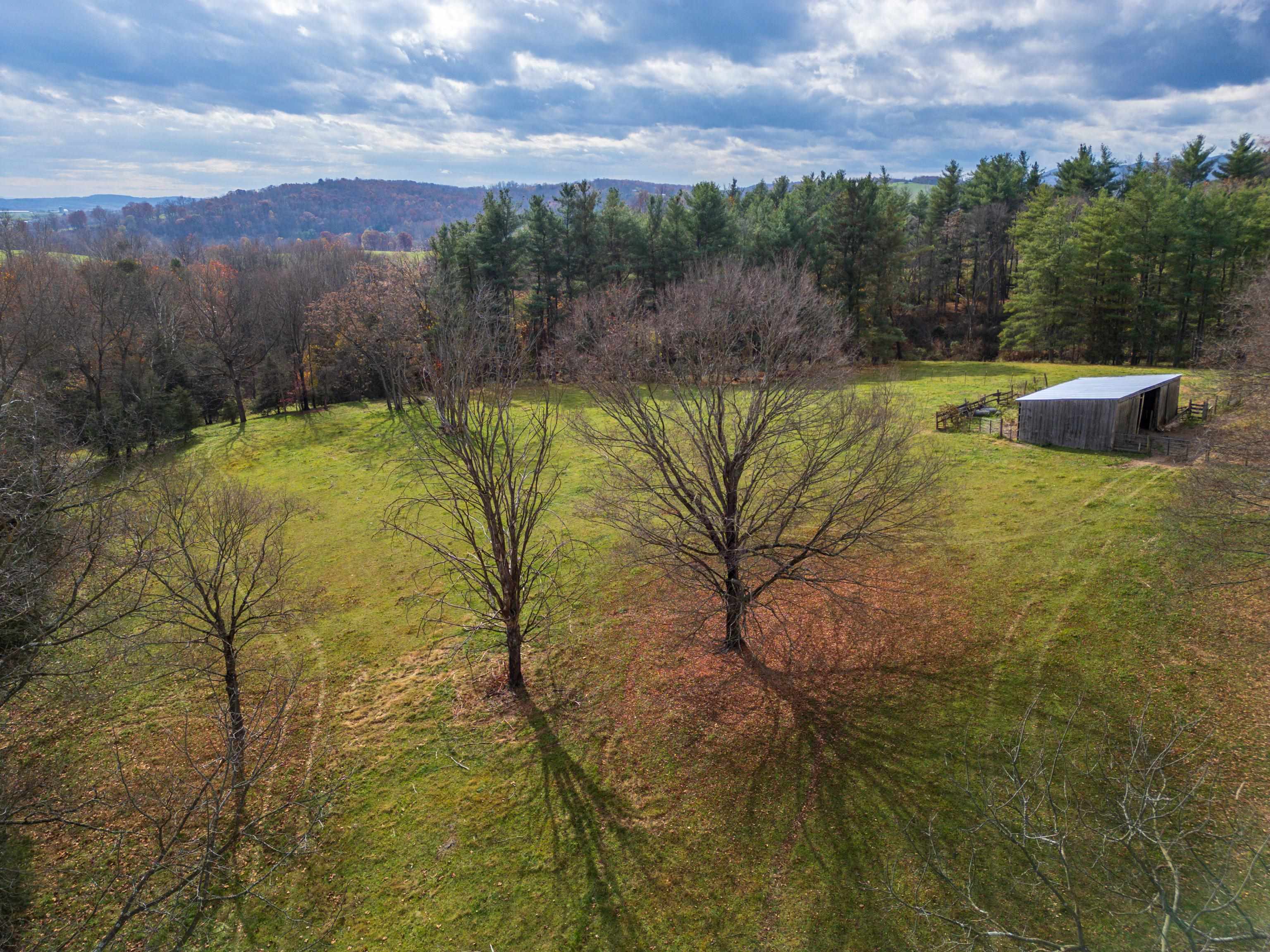 TBD CROSSROADS LN, TIMBERVILLE, Virginia 22853, ,Land,TBD CROSSROADS LN,659167 MLS # 659167