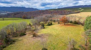 TBD CROSSROADS LN, TIMBERVILLE, Virginia 22853, ,Land,TBD CROSSROADS LN,659167 MLS # 659167